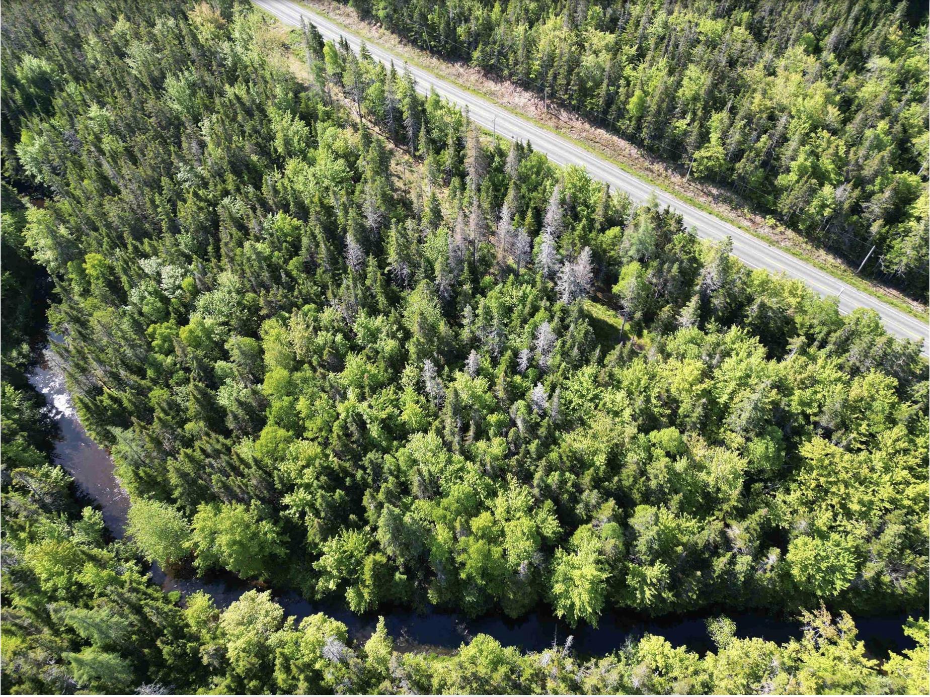 $40,000.00: Lot No. 4 Highway, River Bourgeois