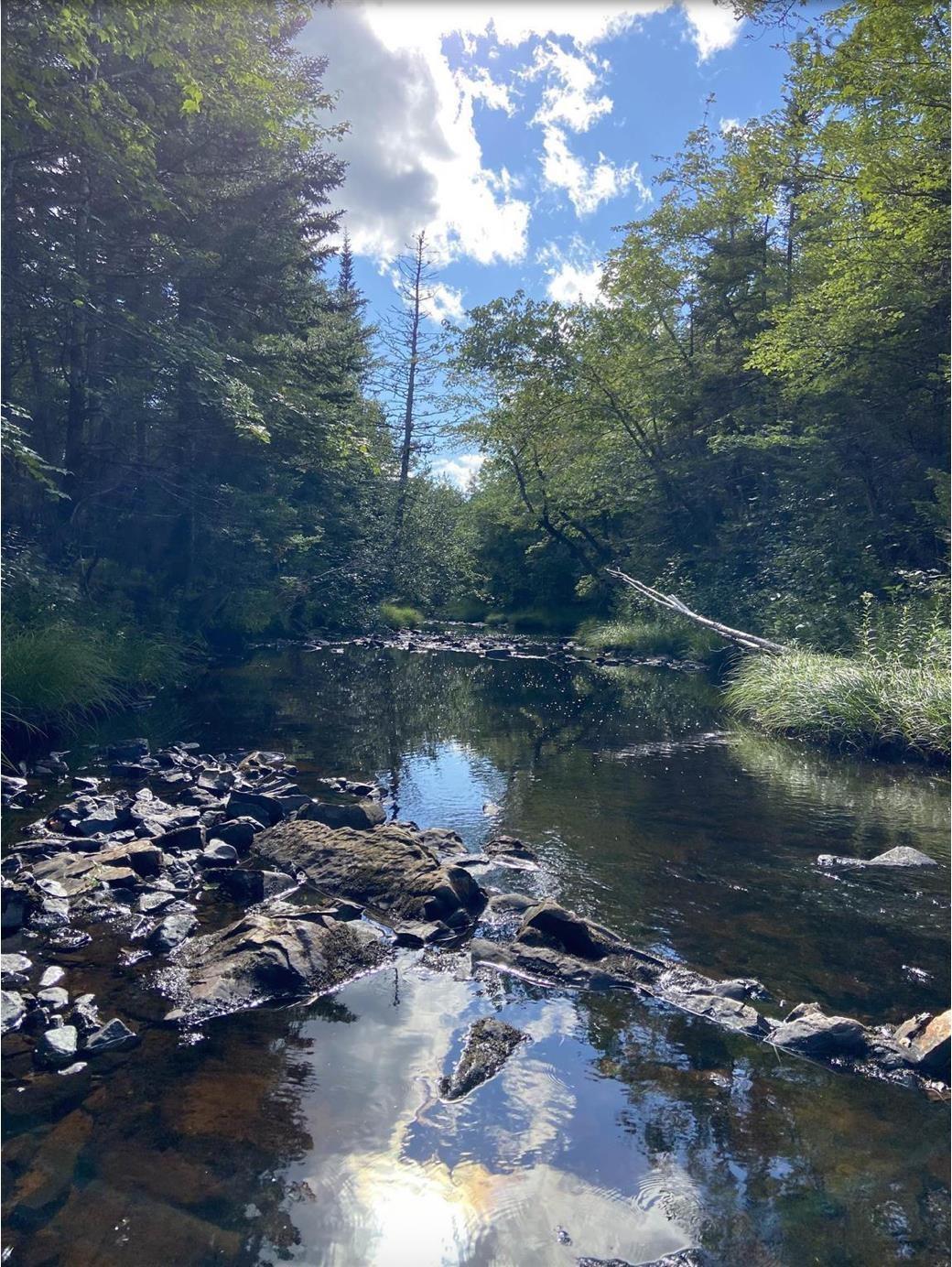 $40,000.00: Lot No. 4 Highway, River Bourgeois