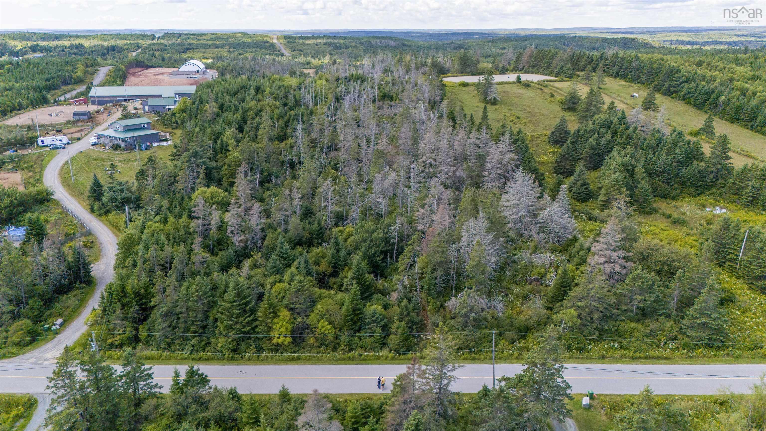 Lot 1 Conrod Road, Grand Desert, NS (MLS 202523160)