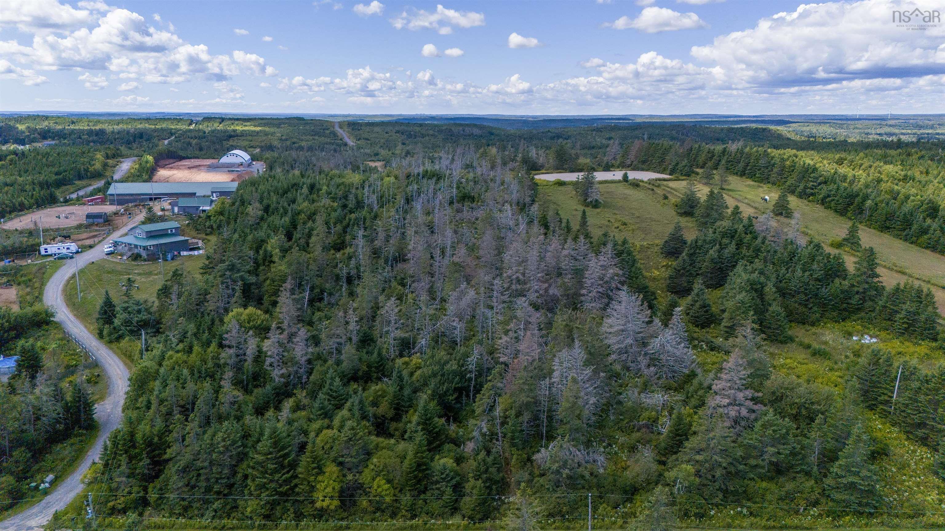 Lot 1 Conrod Road, Grand Desert, NS (MLS 202523160)