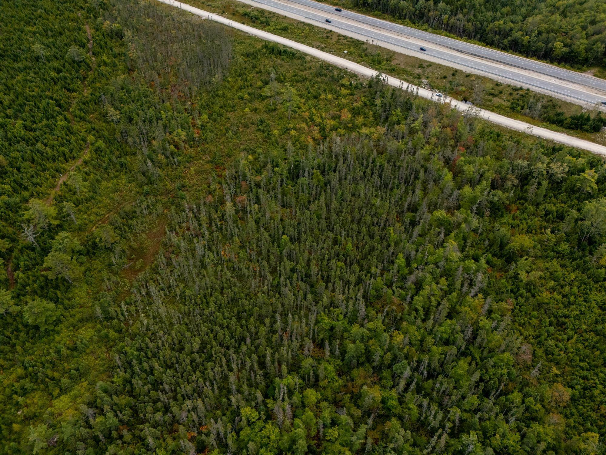 Lot No 103 Highway, Queensland, NS (MLS 202523225)