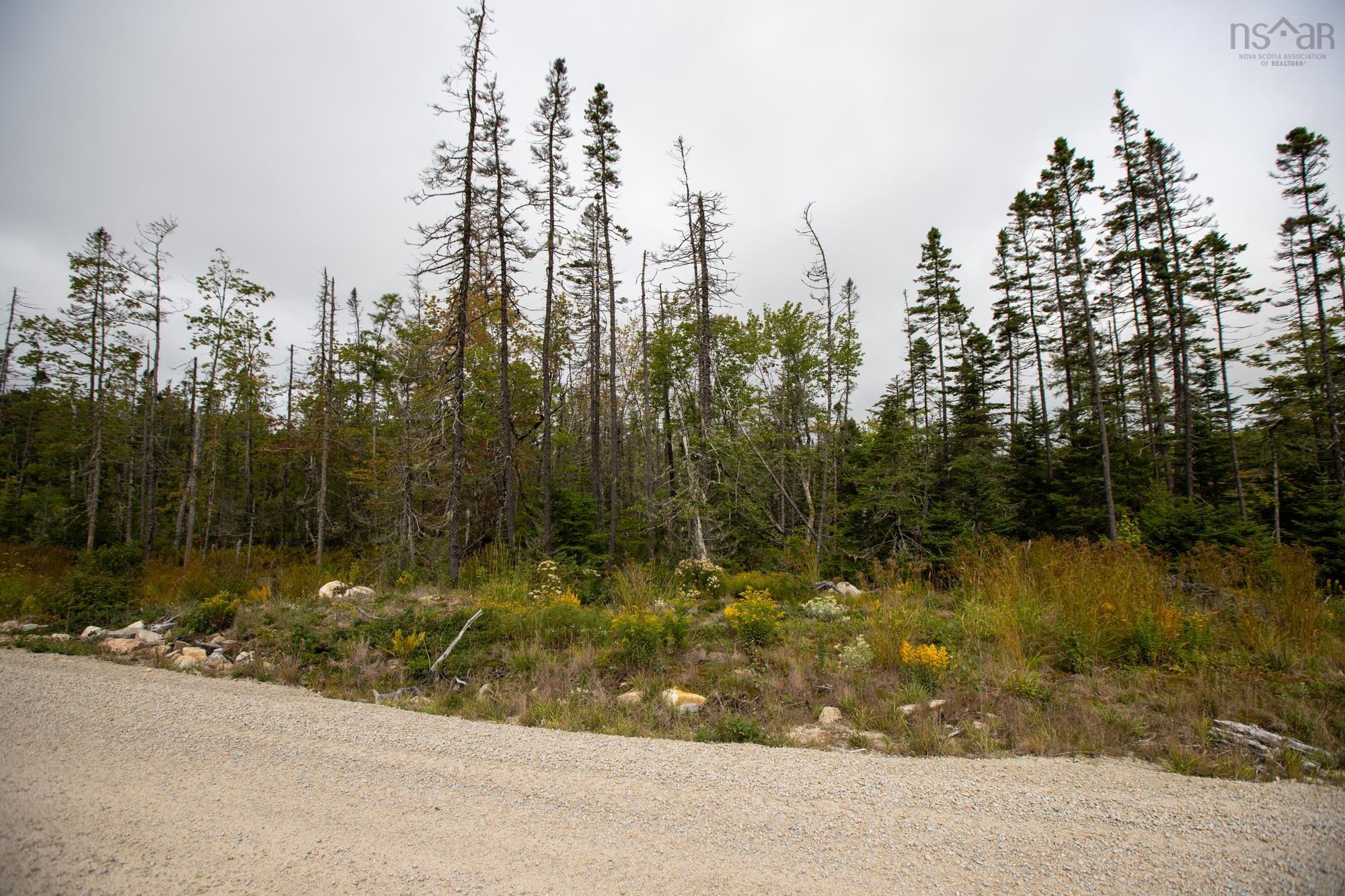 Lot No 103 Highway, Queensland, NS (MLS 202523225)