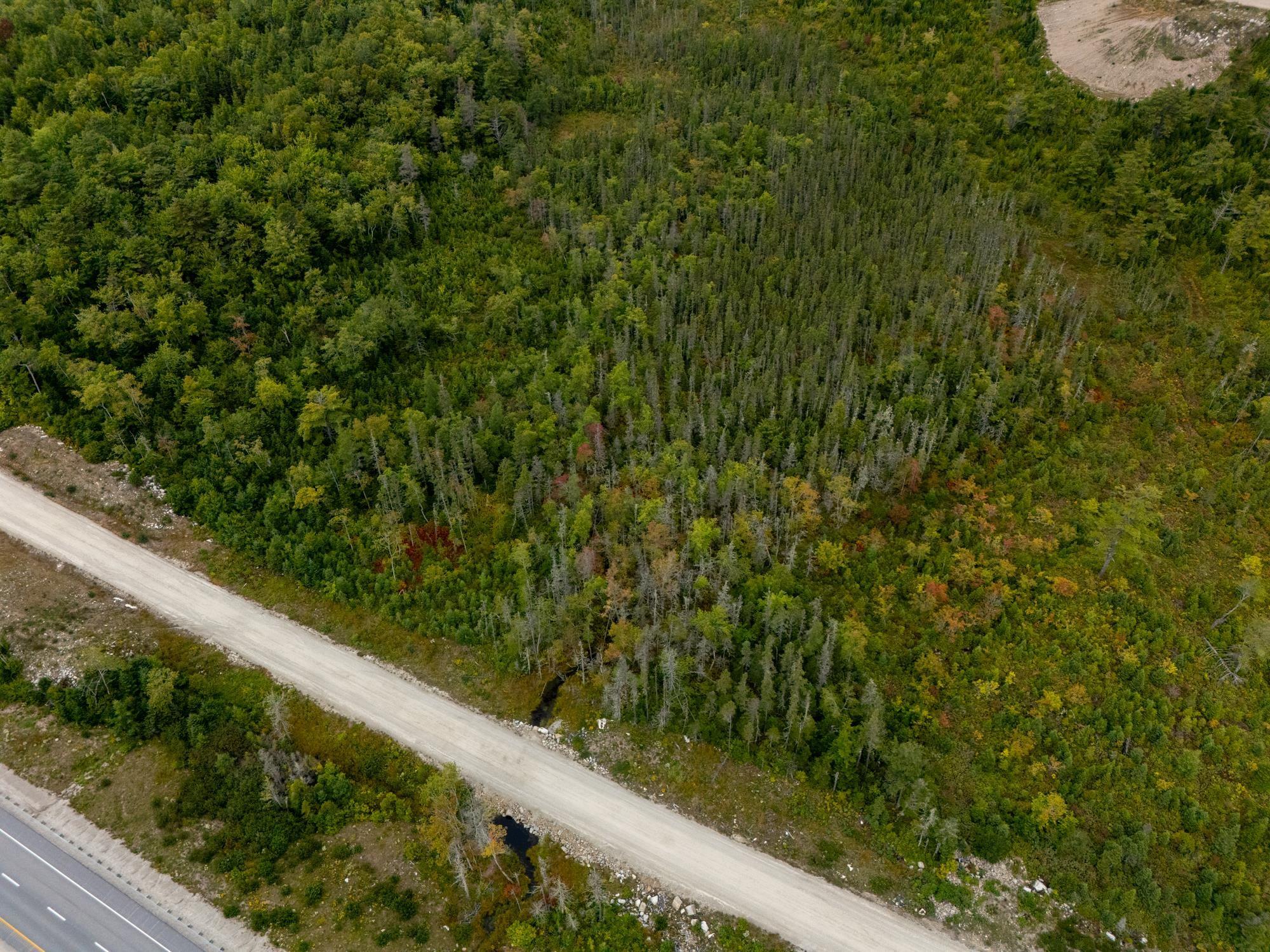 Lot No 103 Highway, Queensland, NS (MLS 202523225)