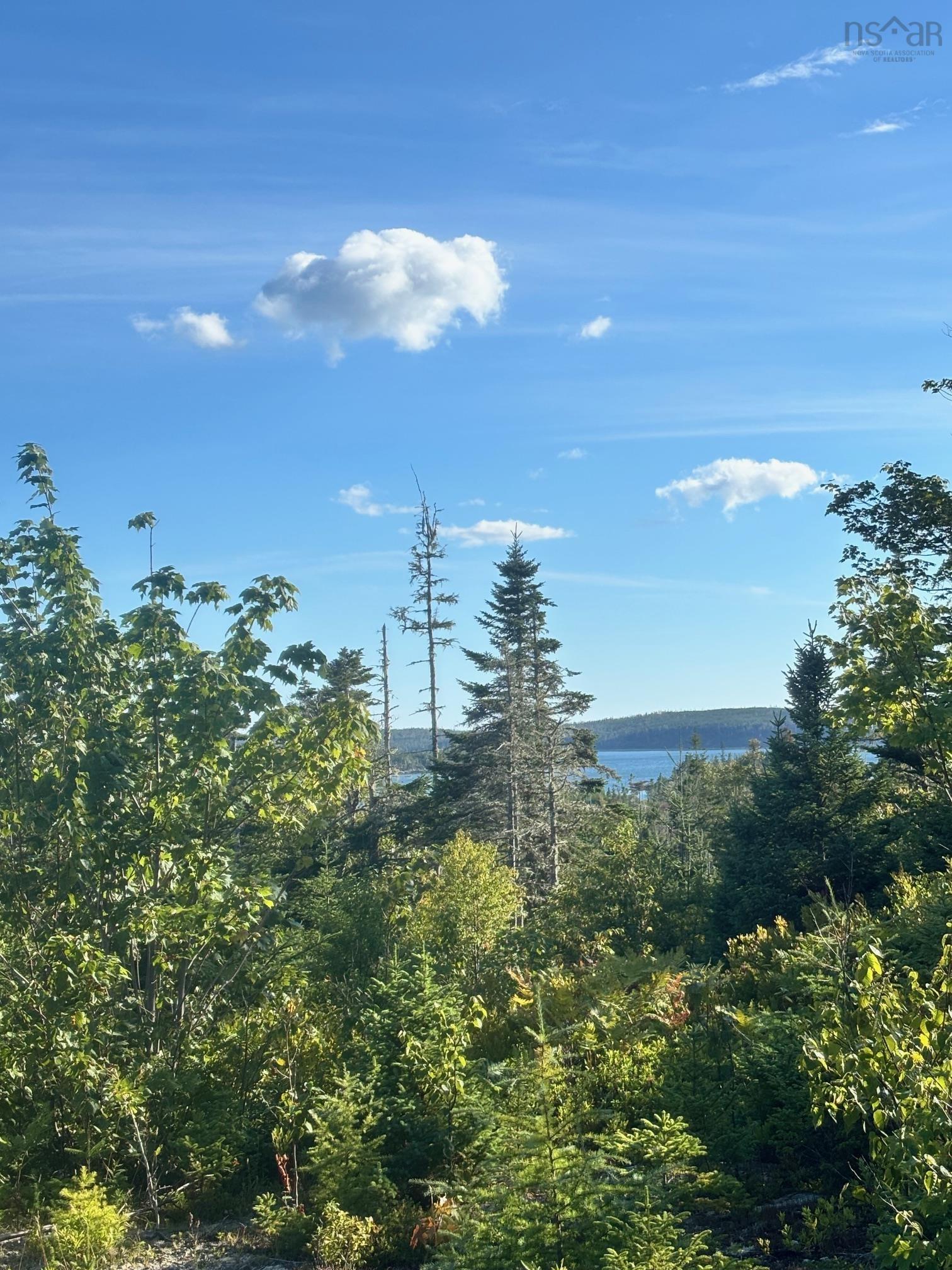 Lot 2 Highway 7, Port Dufferin, NS (MLS 202523230)