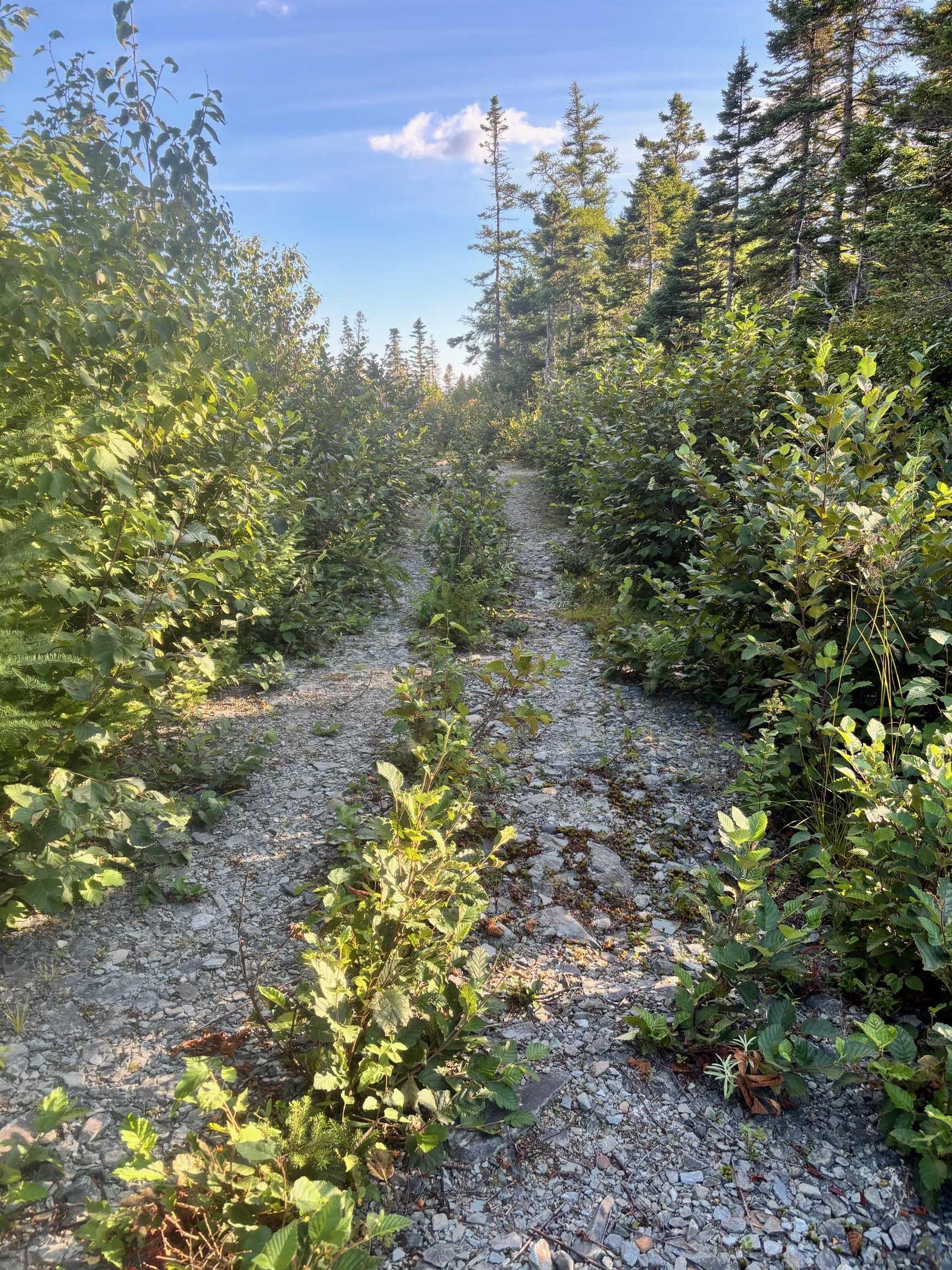 Lot 2 Highway 7, Port Dufferin, NS (MLS 202523230)