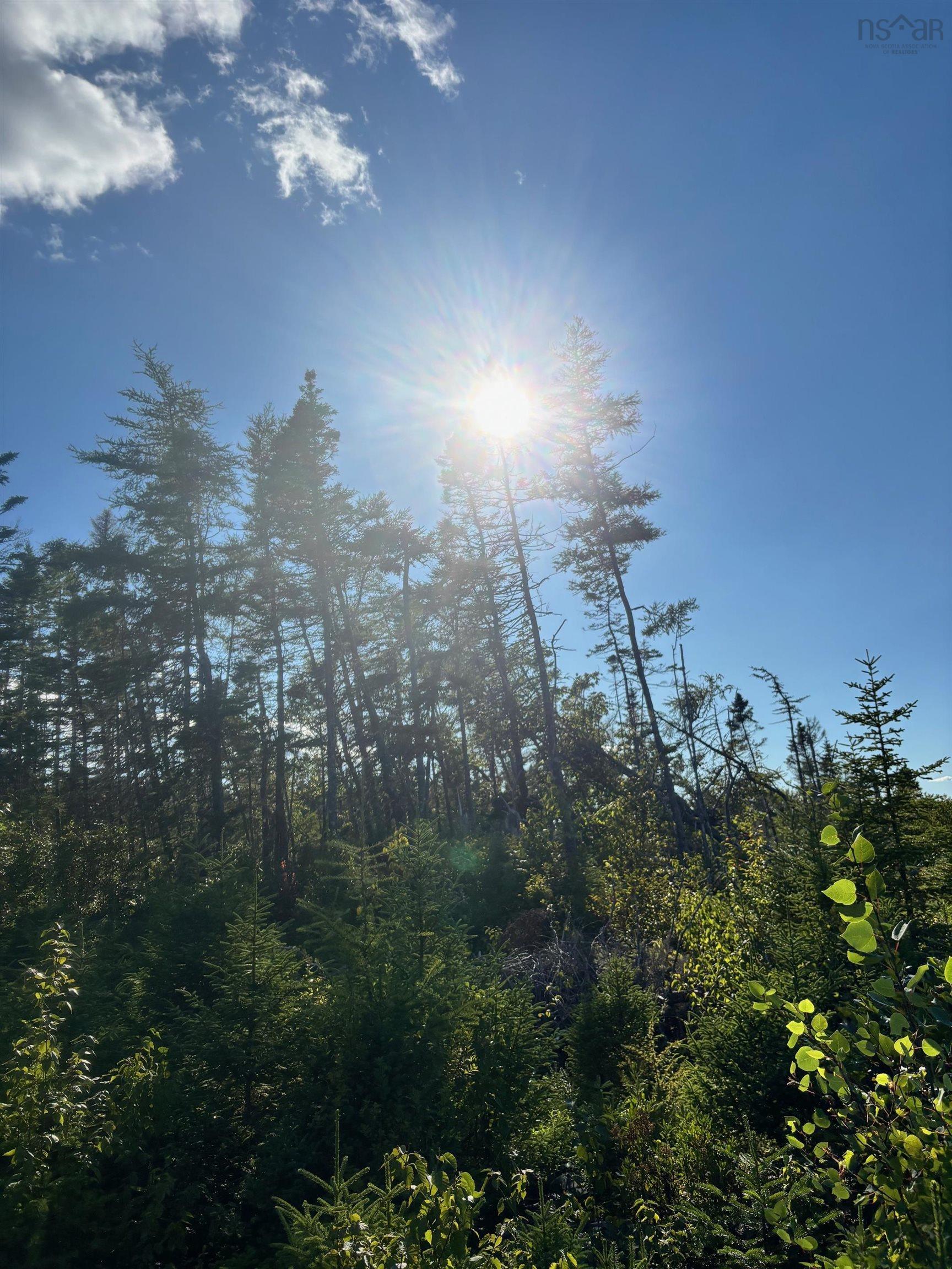 Lot 2 Highway 7, Port Dufferin, NS (MLS 202523230)