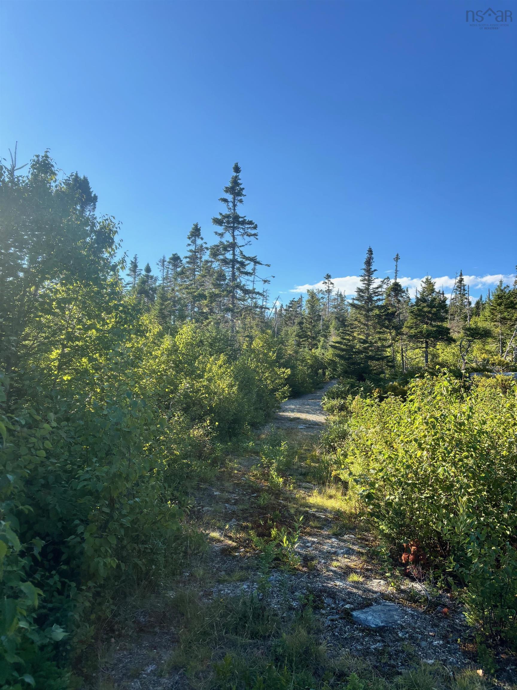 Lot 2 Highway 7, Port Dufferin, NS (MLS 202523230)