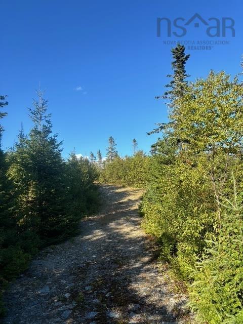 Lot 2 Highway 7, Port Dufferin, NS (MLS 202523230)