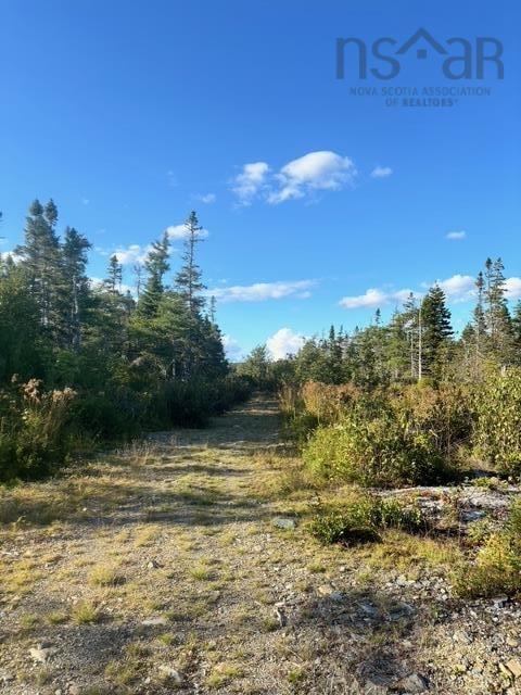 Lot 2 Highway 7, Port Dufferin, NS (MLS 202523230)
