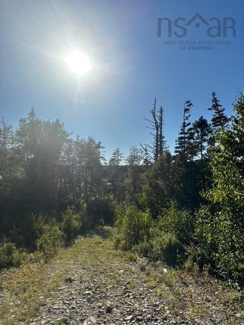 Lot 2 Highway 7, Port Dufferin, NS (MLS 202523230)