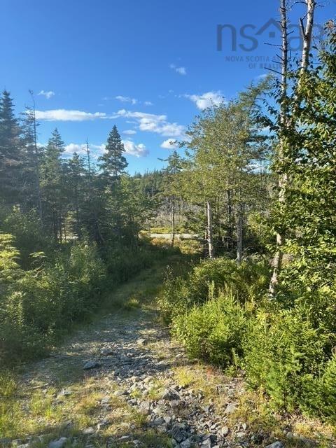 Lot 2 Highway 7, Port Dufferin, NS (MLS 202523230)
