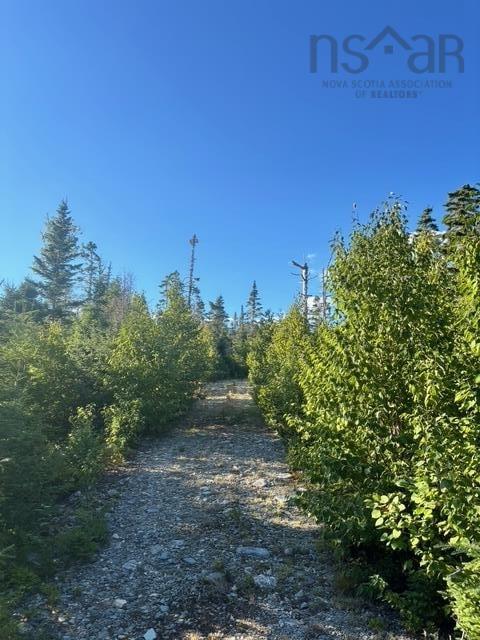 Lot 2 Highway 7, Port Dufferin, NS (MLS 202523230)