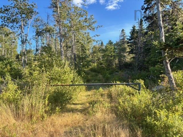 Lot 2 Highway 7, Port Dufferin, NS (MLS 202523230)