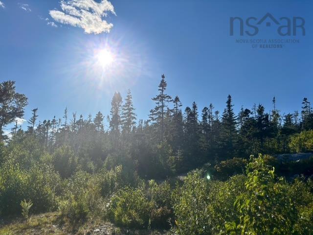 Lot 2 Highway 7, Port Dufferin, NS (MLS 202523230)