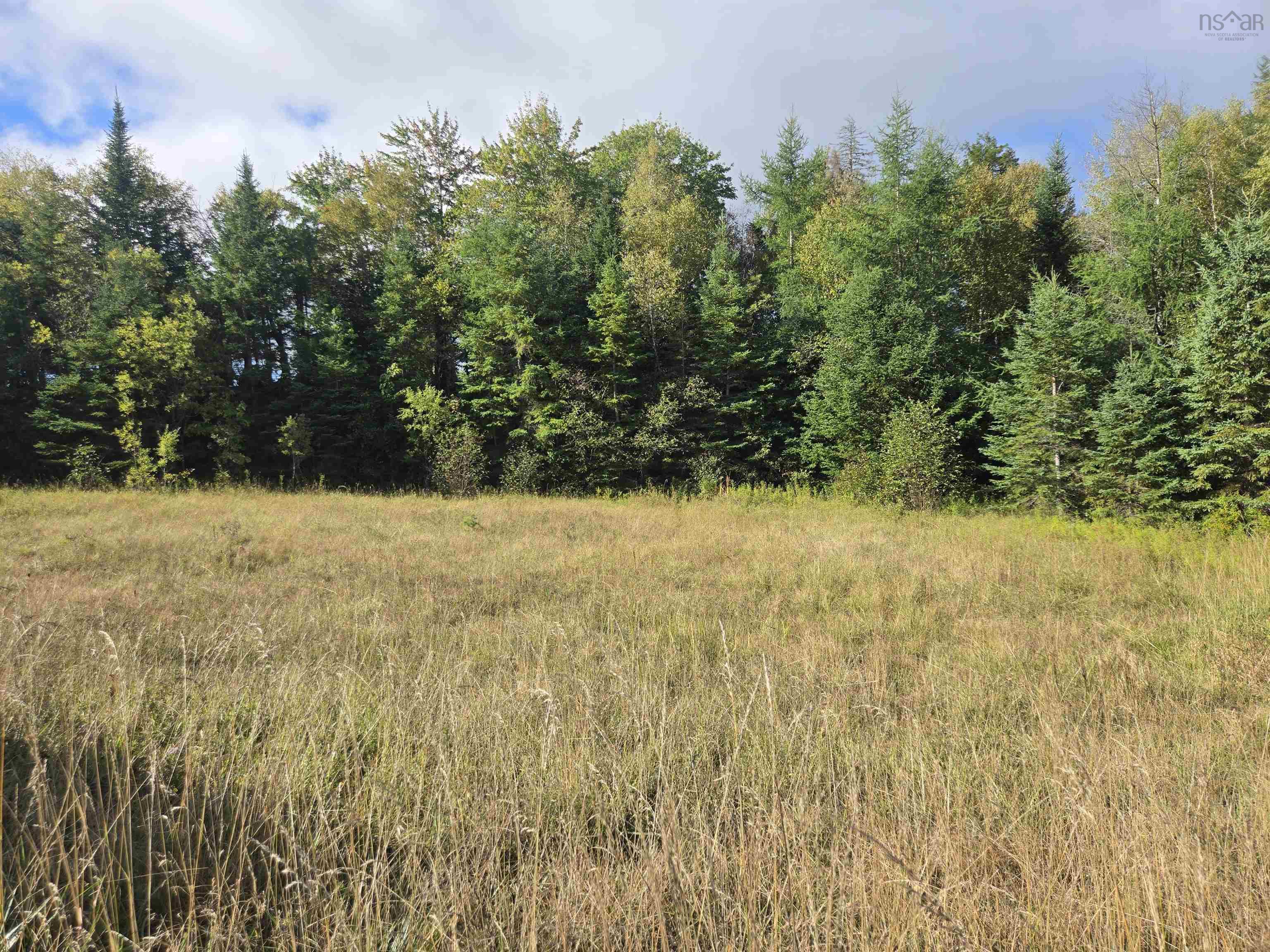 Lot 8 Highway 368, Fountain Road, NS (MLS 202523360)