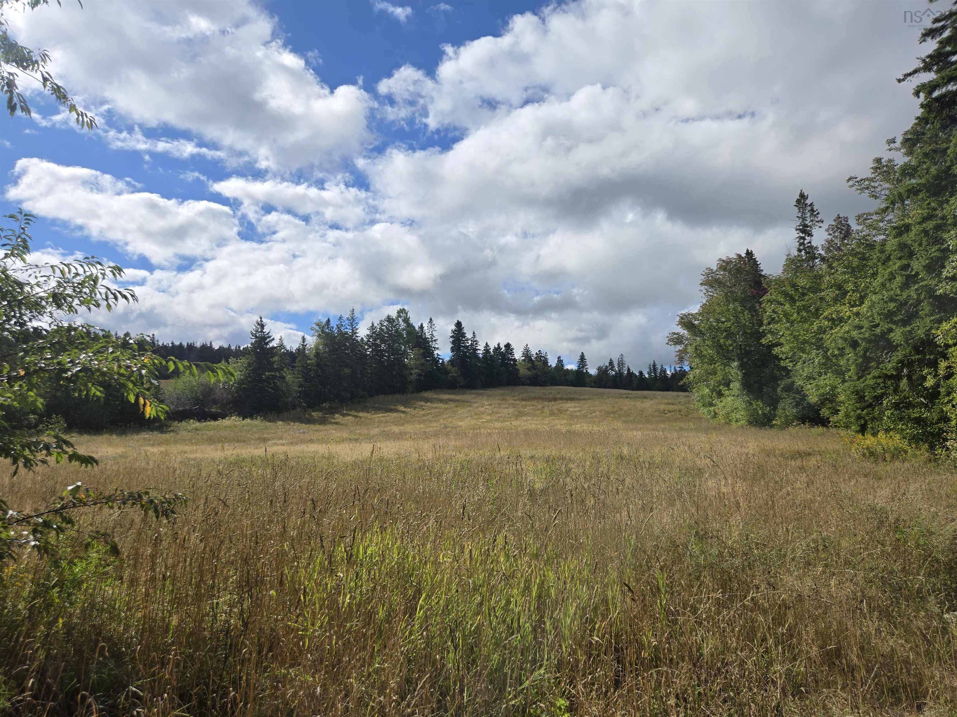 28 Acres Warwick Mountain Road, West New Annan, NS (MLS 202523367)