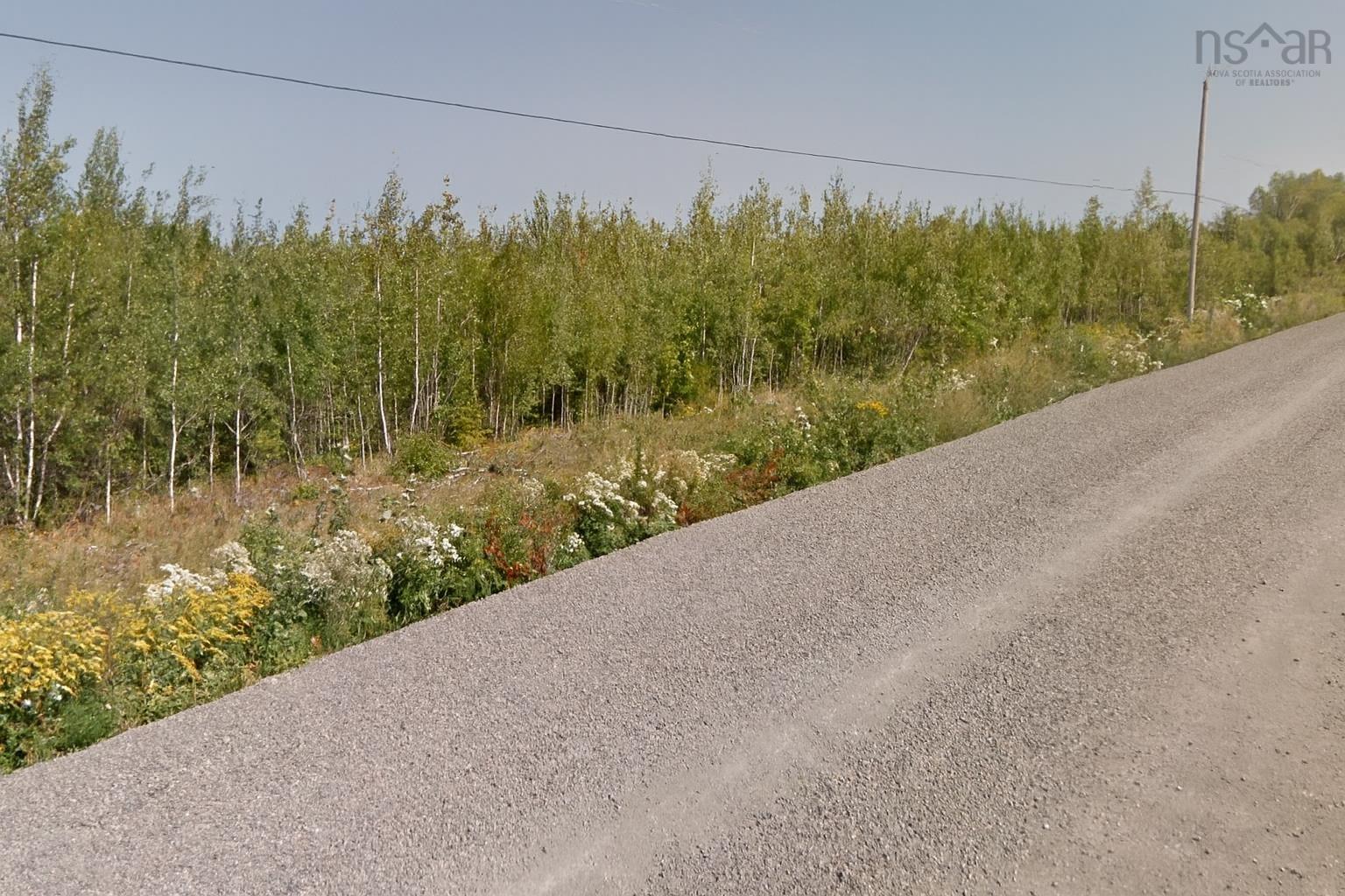 12 Acres Lake Road, Tatamagouche, NS (MLS 202523501)