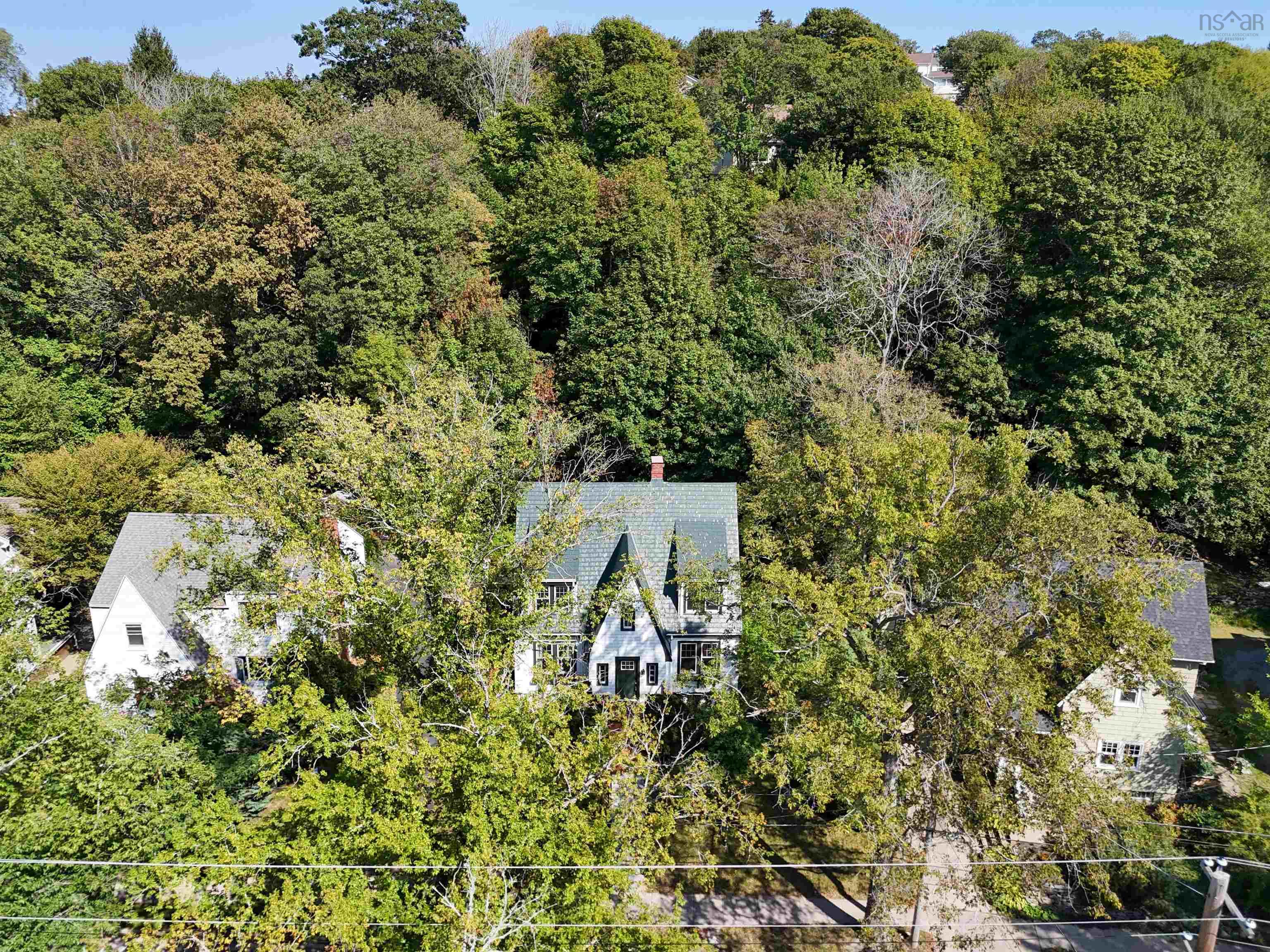 137 Pleasant Street, Dartmouth, NS (MLS 202523719)