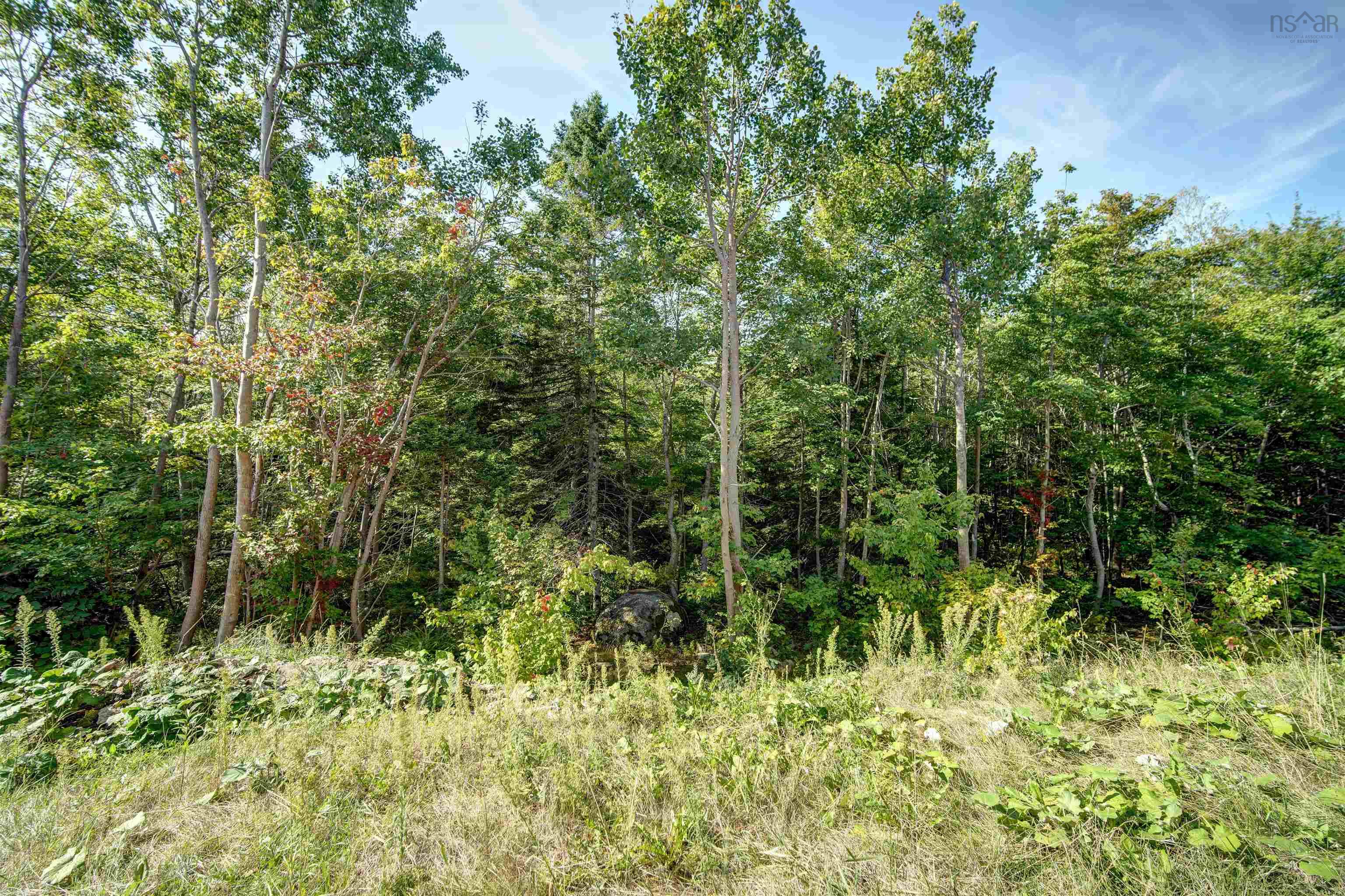 95 Honeygold Drive, Spryfield, NS (MLS 202523961)