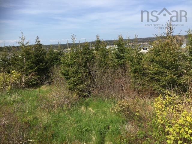 15 Hunters Hill Lane, Terence Bay, NS (MLS 202524023)