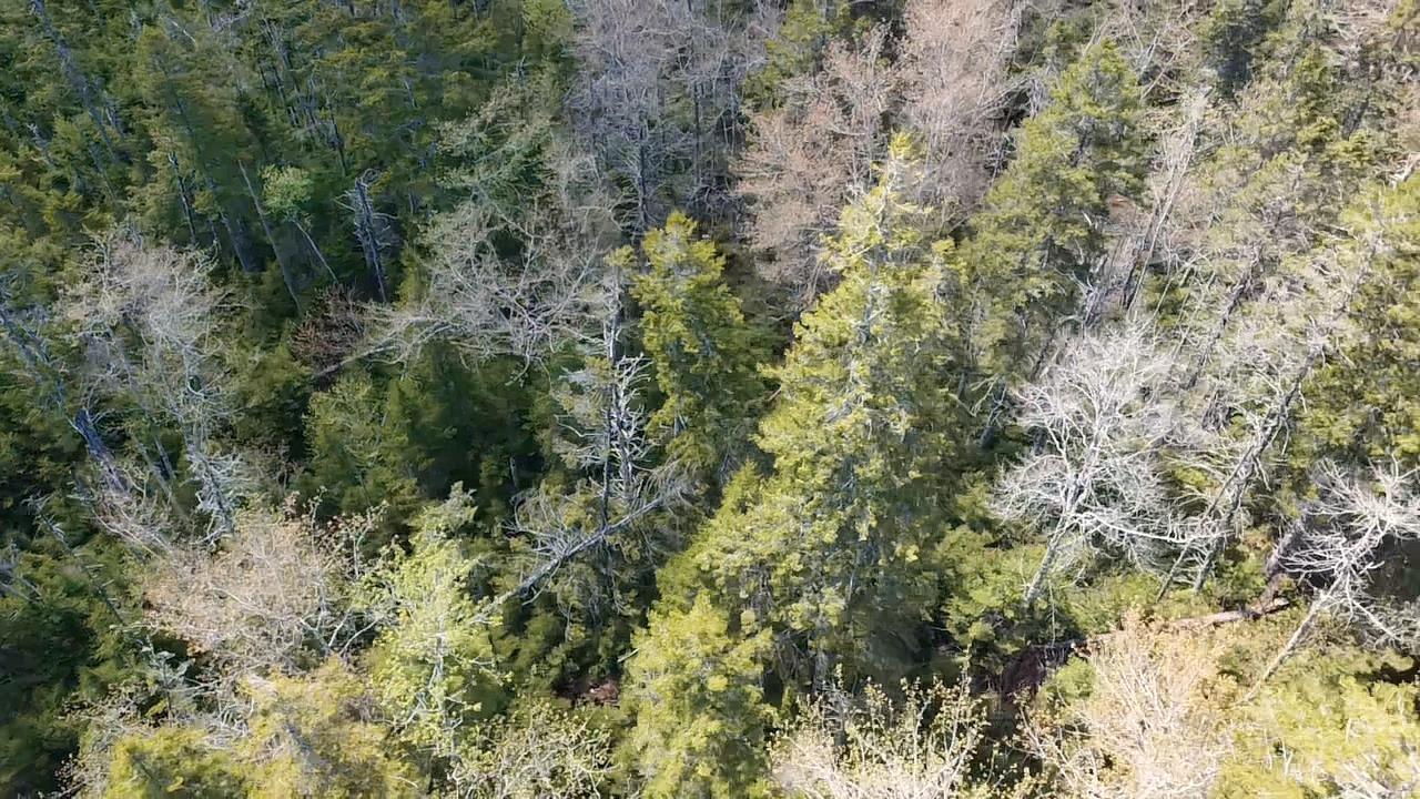 Lot 17 Deeridge Road, Black Point, NS (MLS 202524071)
