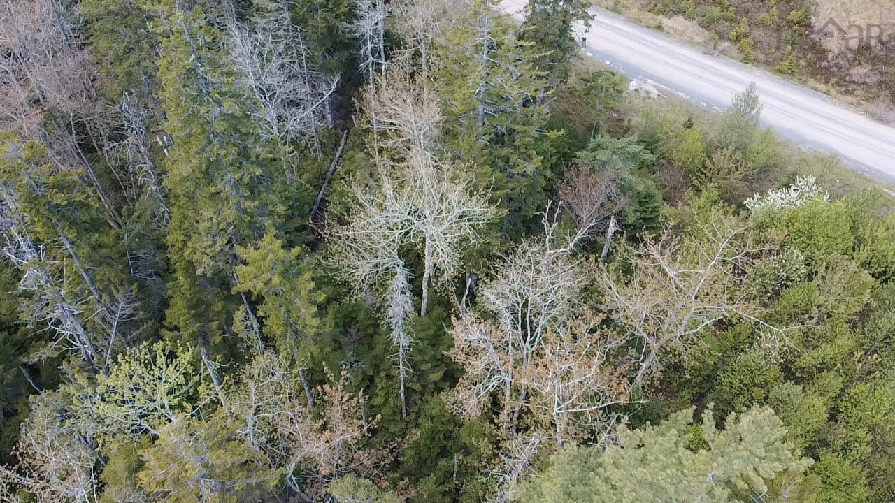 Lot 17 Deeridge Road, Black Point, NS (MLS 202524071)