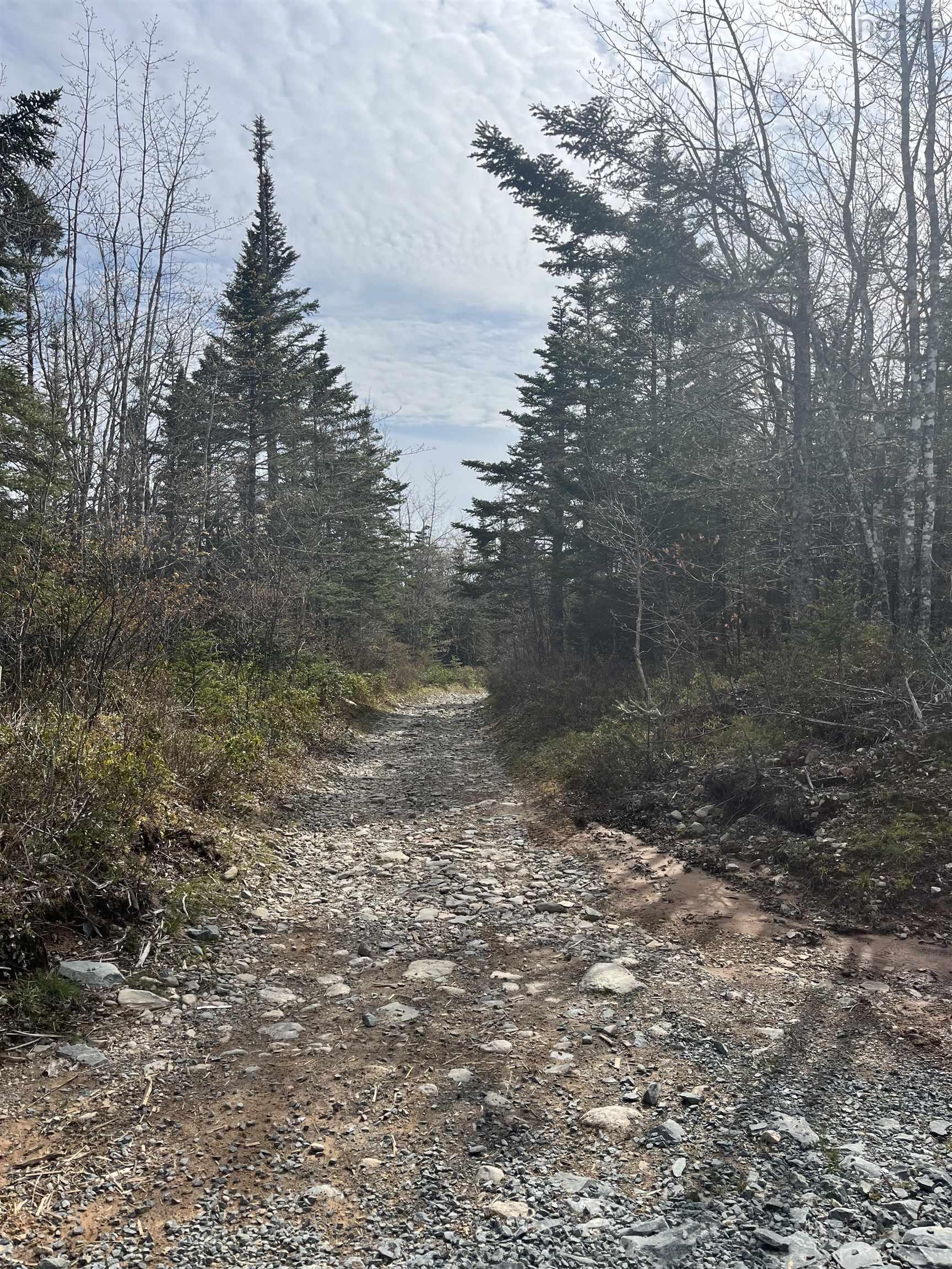 Lot 3 Old Minesville Road, Middle Porters Lake, NS (MLS 202524148)