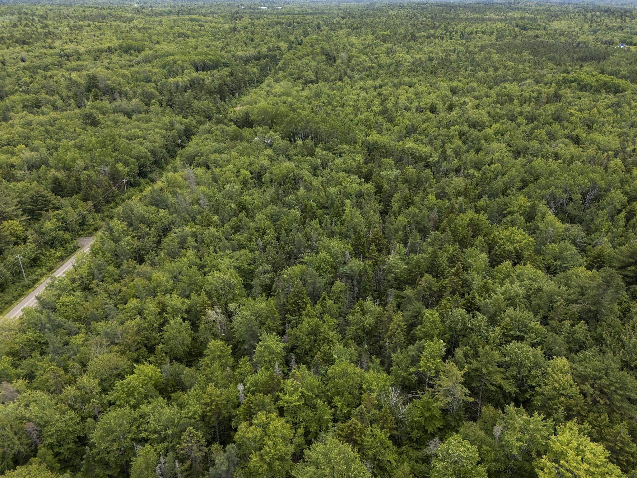 Lot 6 Old Yarmouth Road, Weymouth Falls, NS (MLS 202524215)