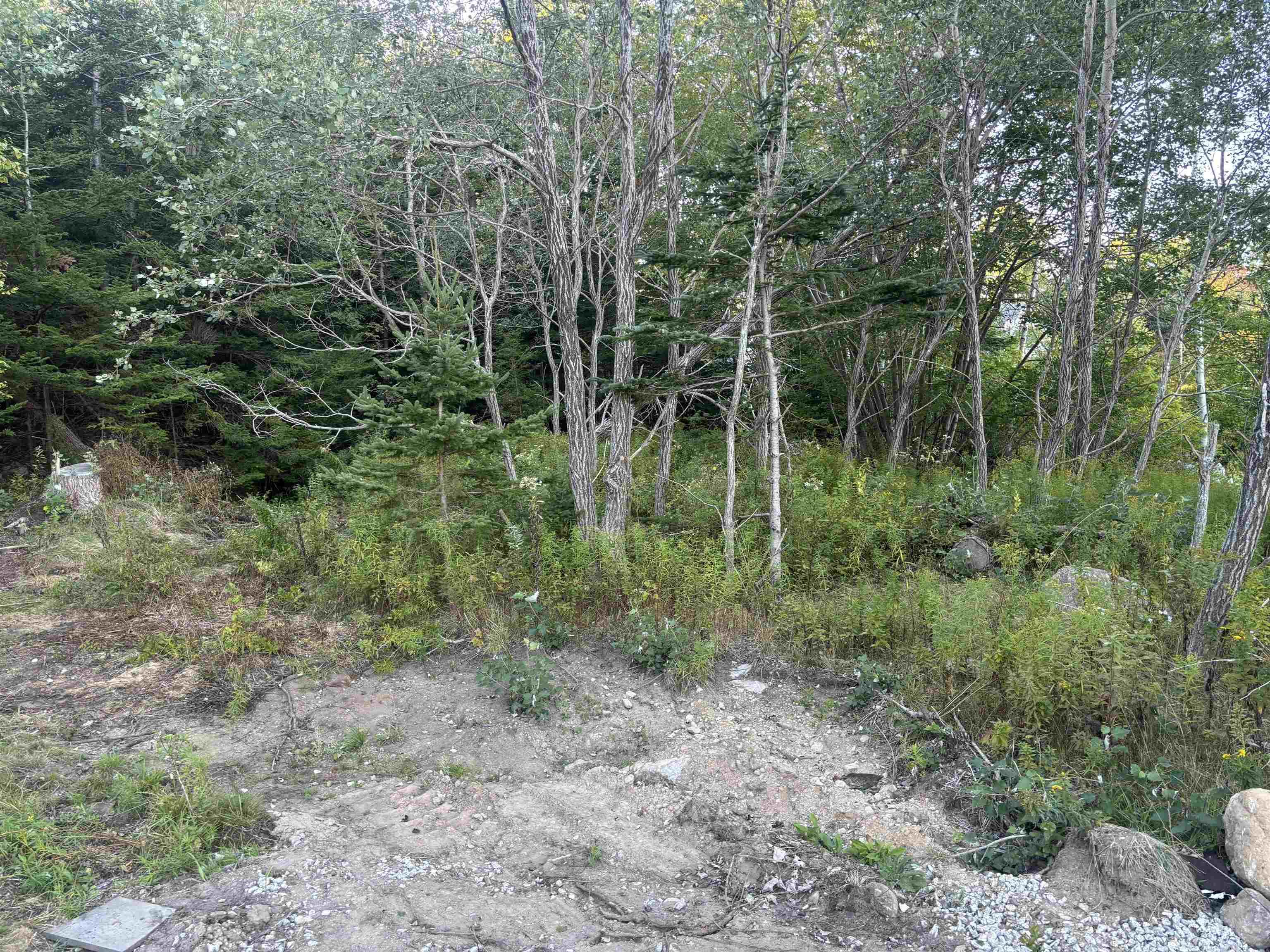 198 Puddle Road, Queensland, NS (MLS 202524239)