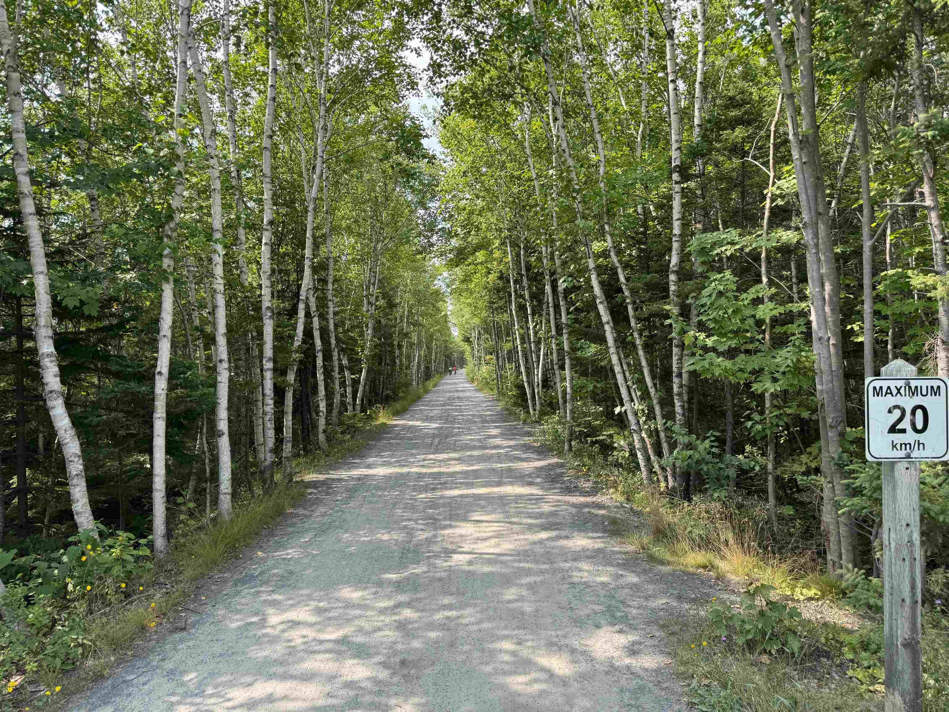 51 North Green Road, Lakeside, NS (MLS 202524322)