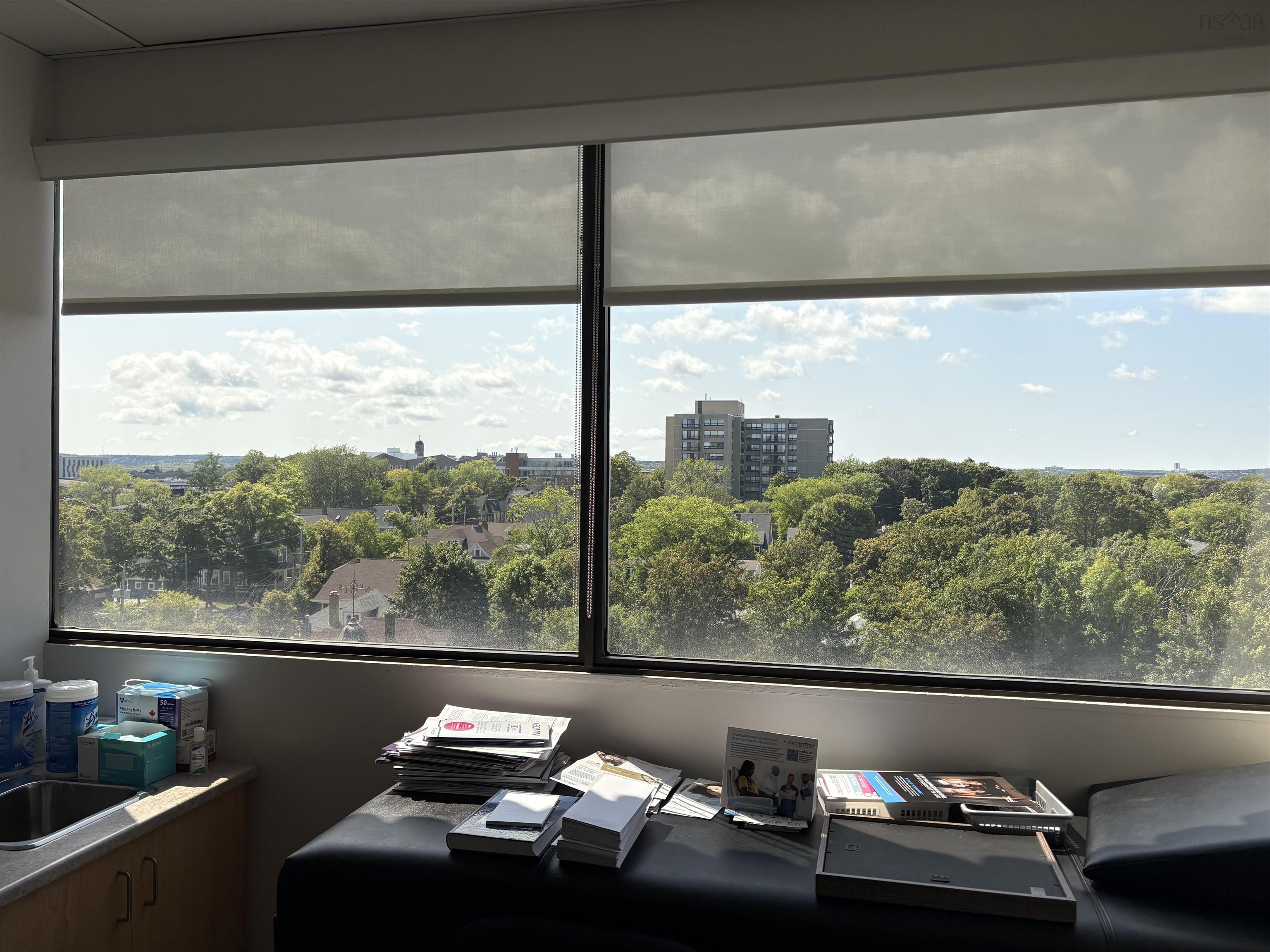 805 5991 Spring Garden Road, Halifax, NS (MLS 202524653)