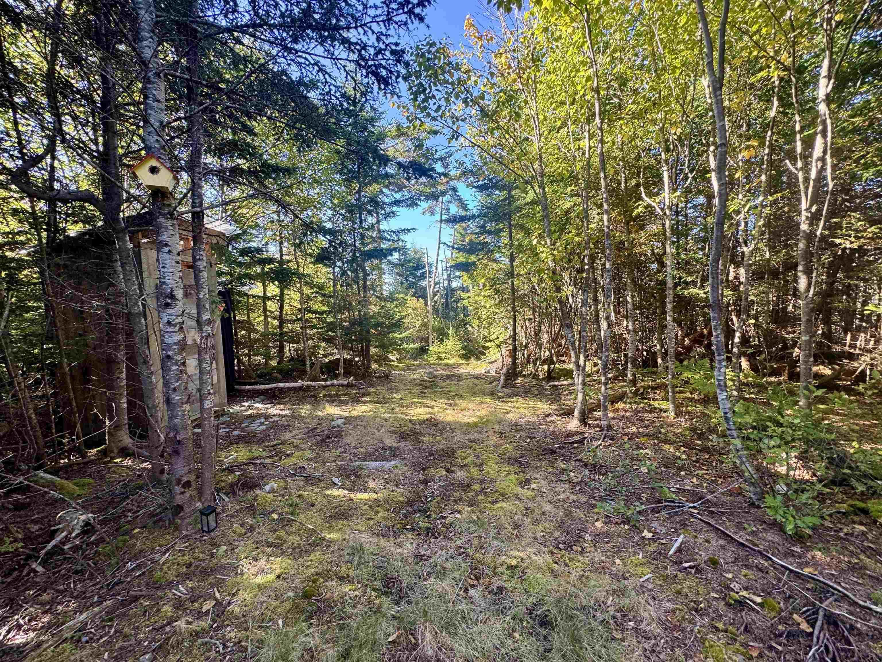 16 Rutter Court, Seaforth, NS (MLS 202524707)