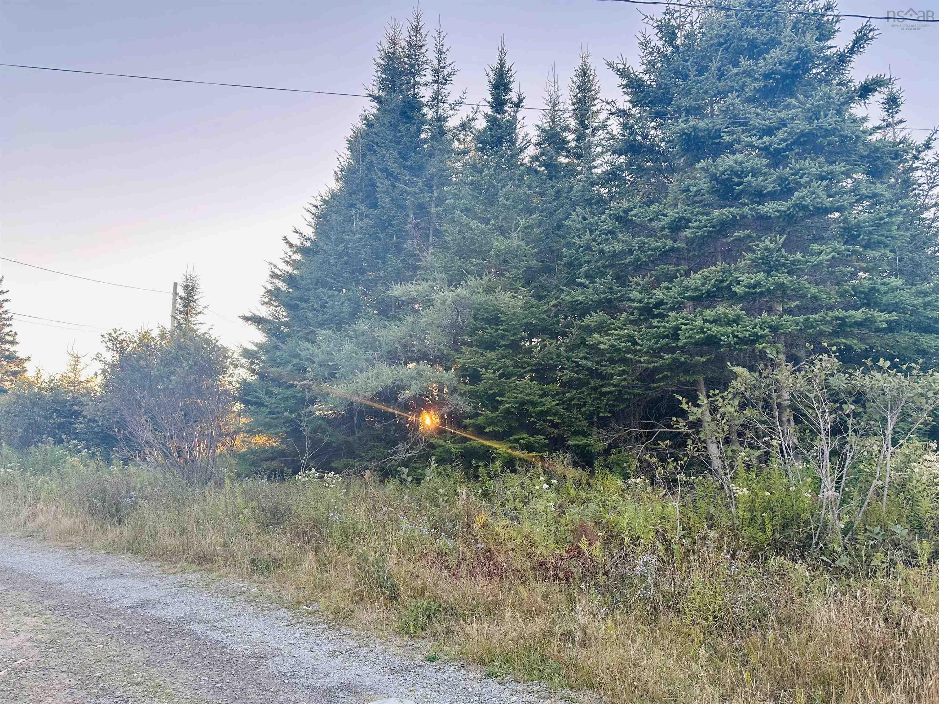 28 Flat Point Road, Clam Harbour, NS (MLS 202524733)