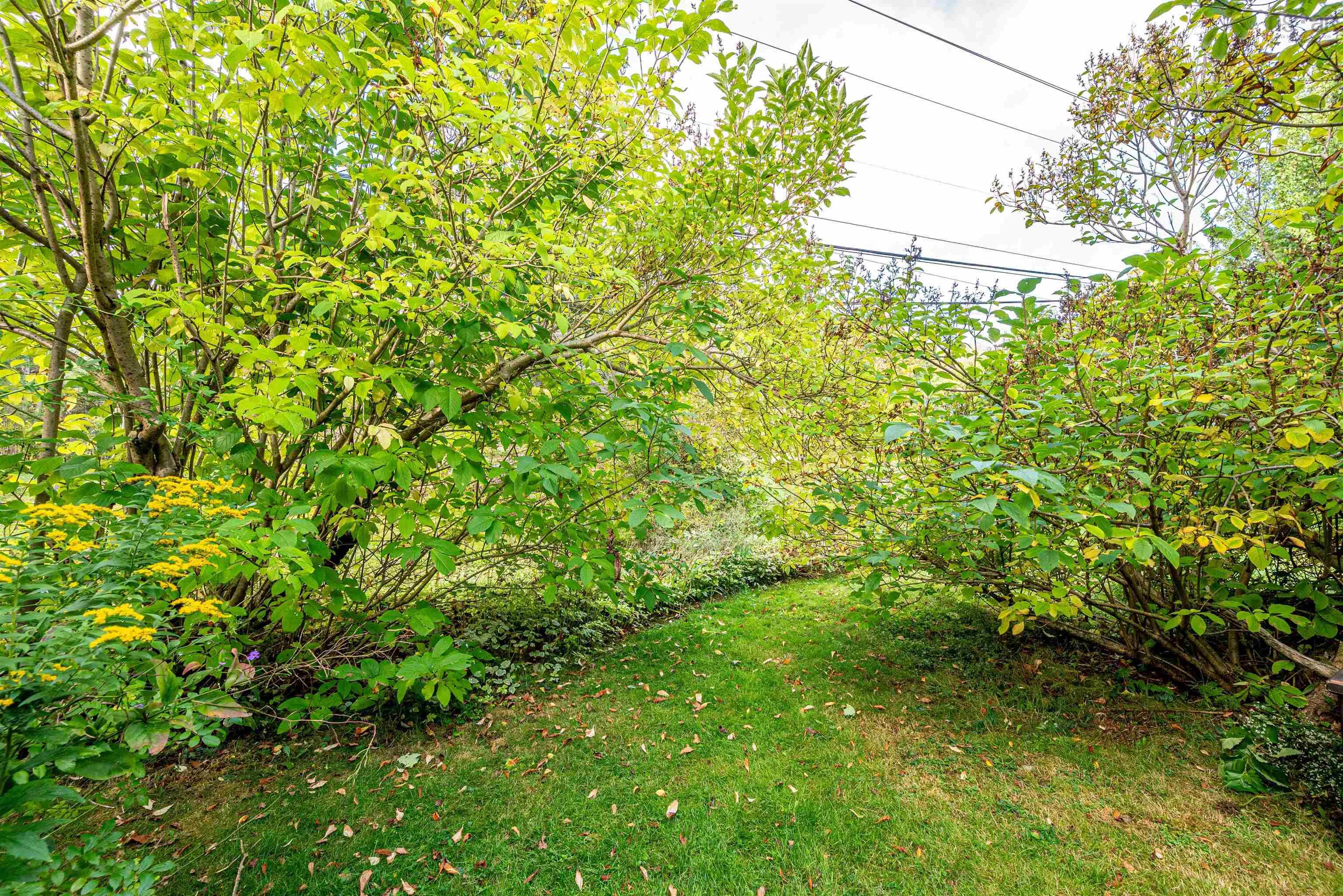 28 Hanover Court, Halifax, NS (MLS 202525064)