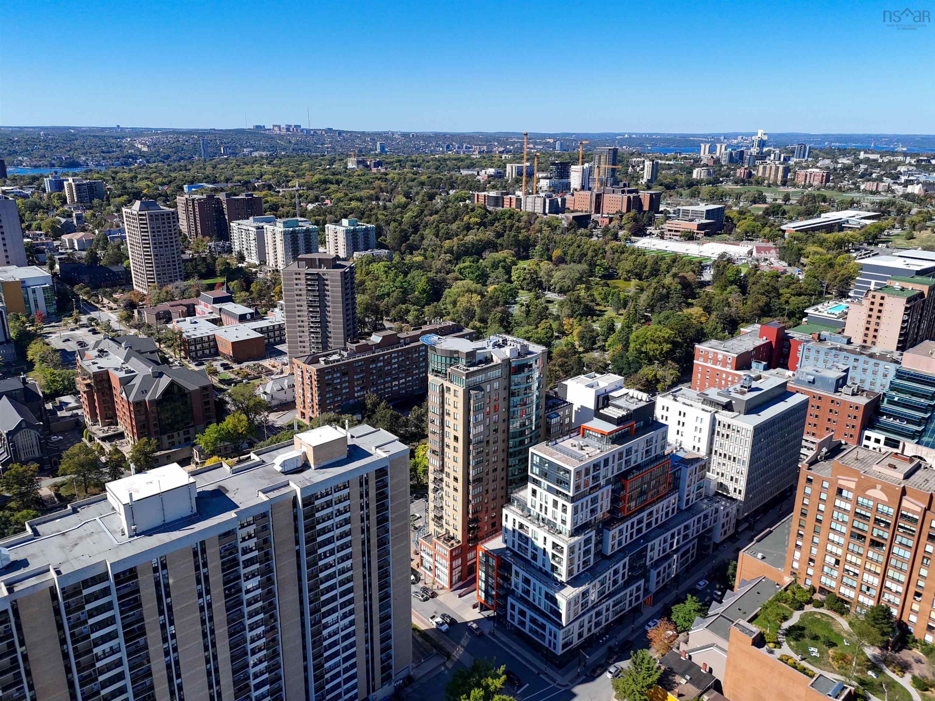 705 1445 South Park Street, Halifax, NS (MLS 202525275)