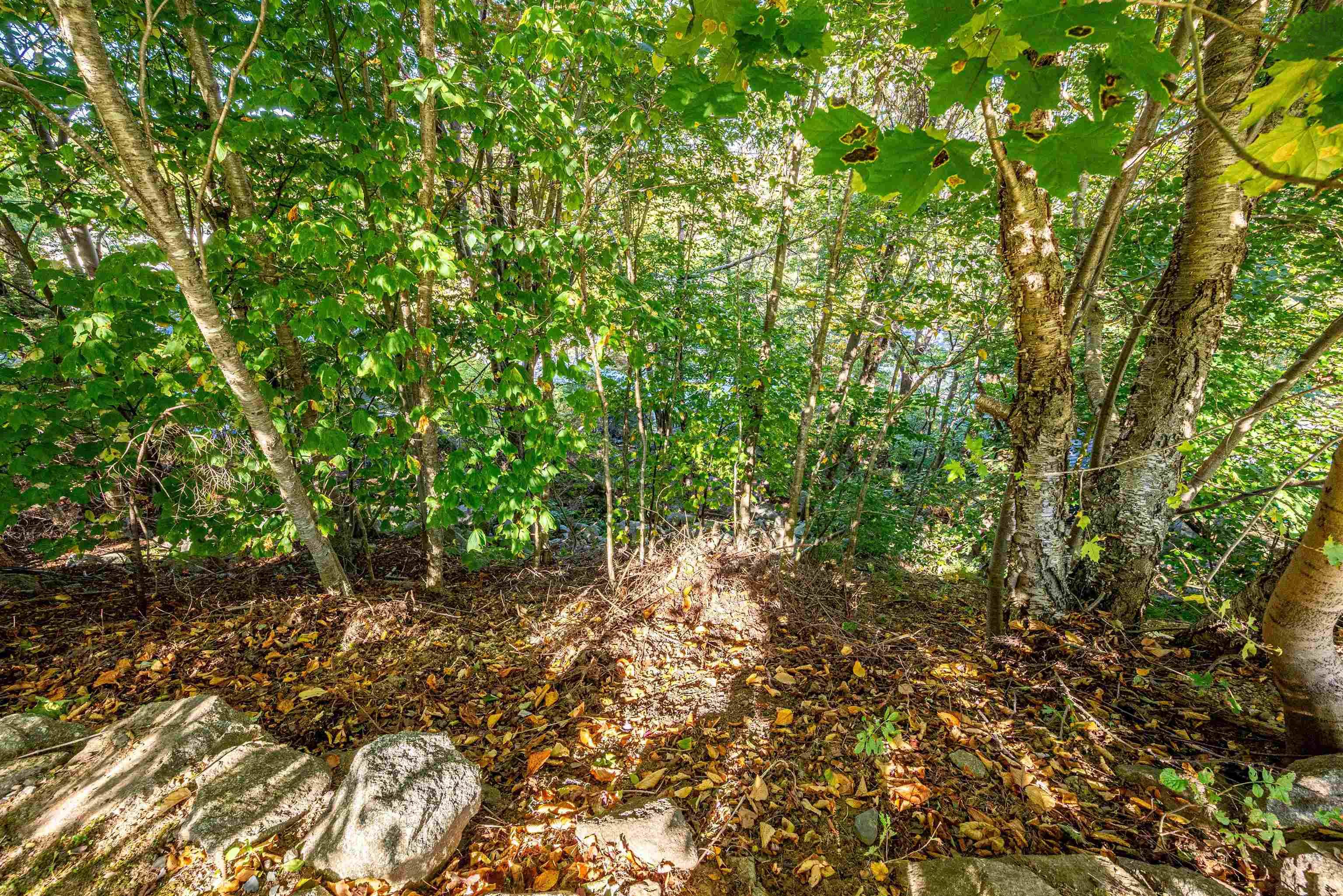 1-2 15 Idlewylde Road, Halifax, NS (MLS 202525286)