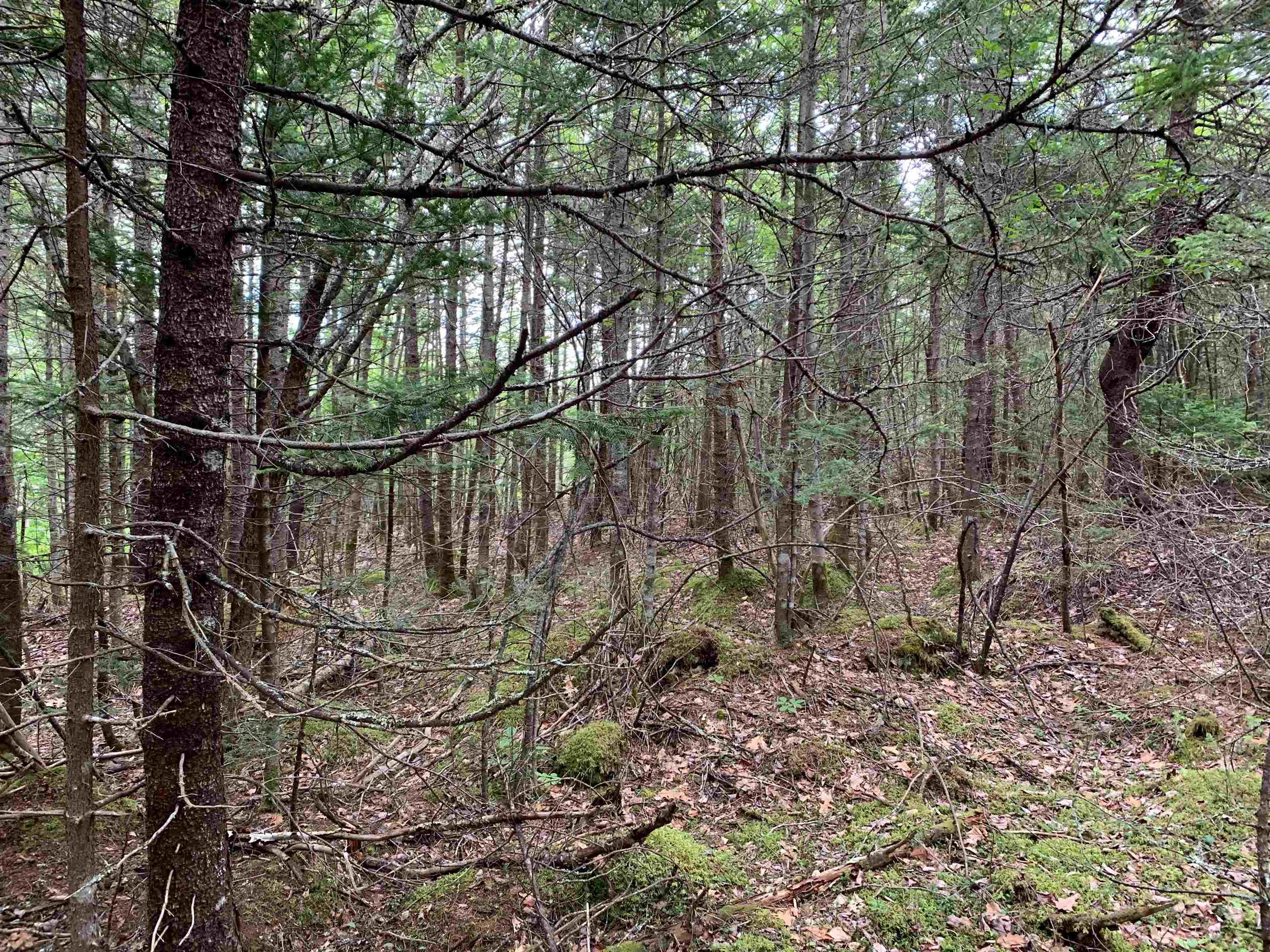 34 Balsam Street, Beechville, NS (MLS 202525395)