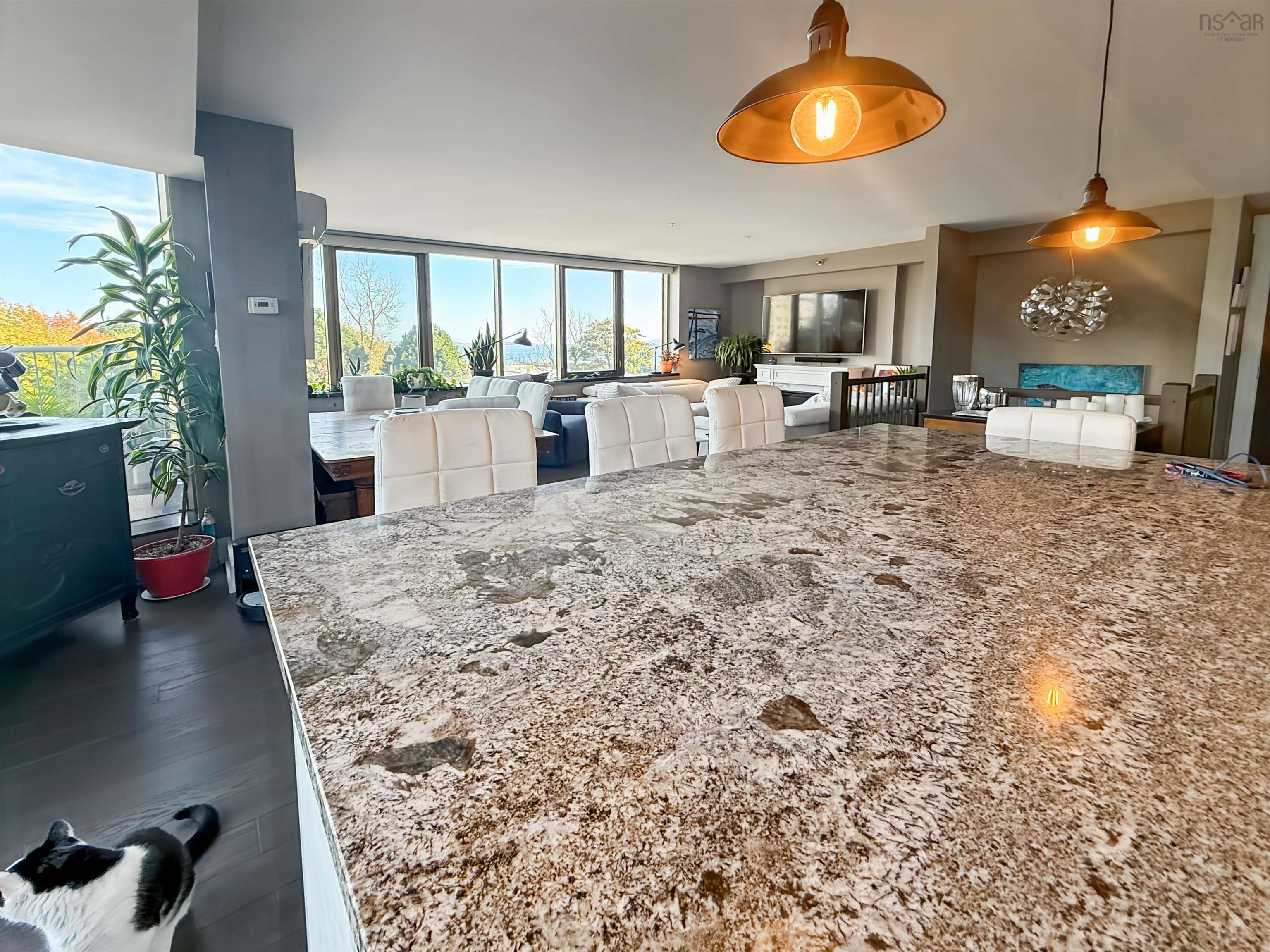 109 1 Prince Street, Dartmouth, NS (MLS 202525449)