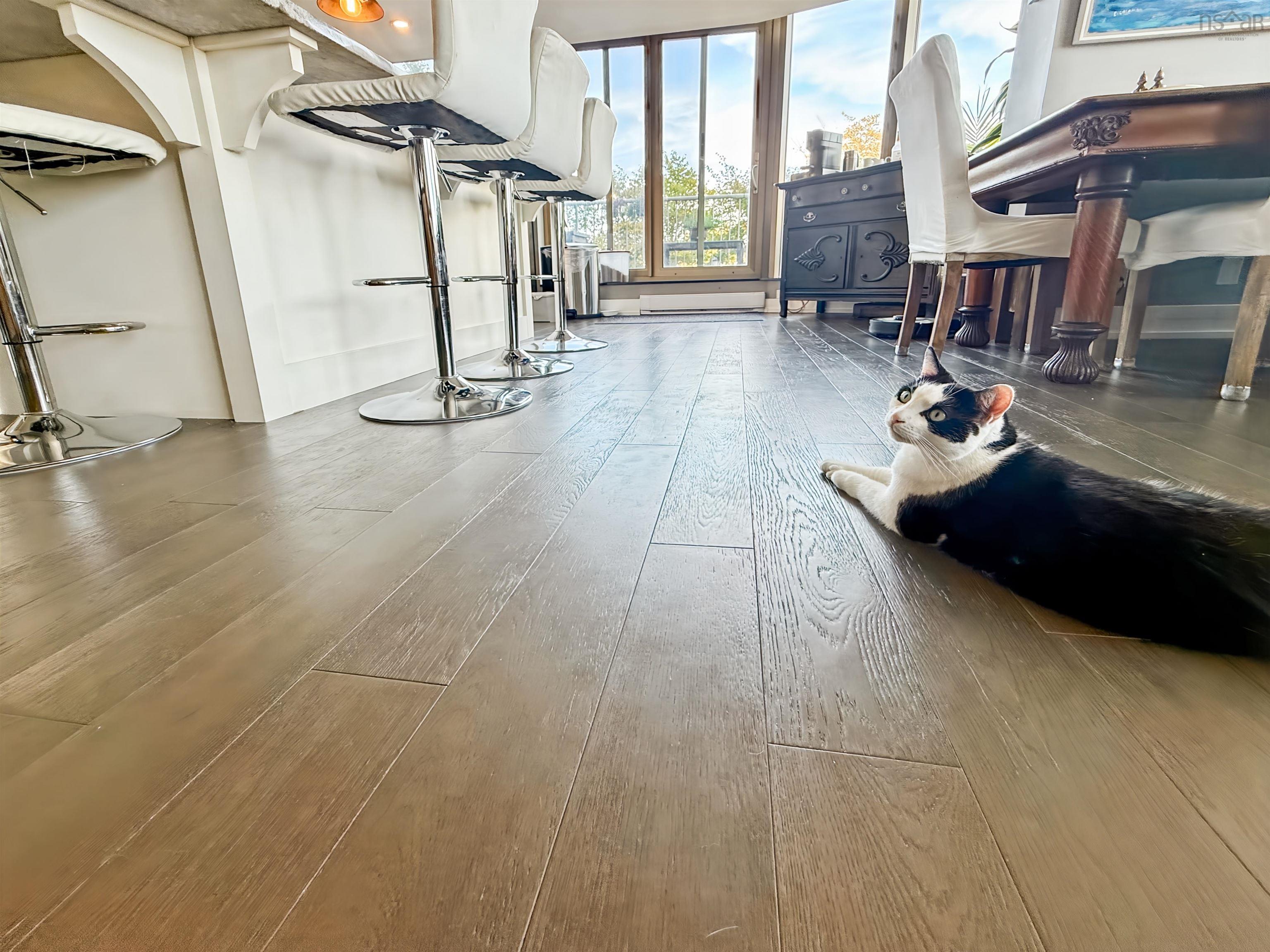 109 1 Prince Street, Dartmouth, NS (MLS 202525449)