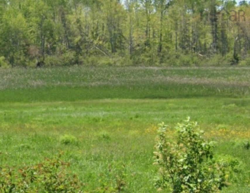 Vl North Wallace Road, North Wallace, NS (MLS 202525470)