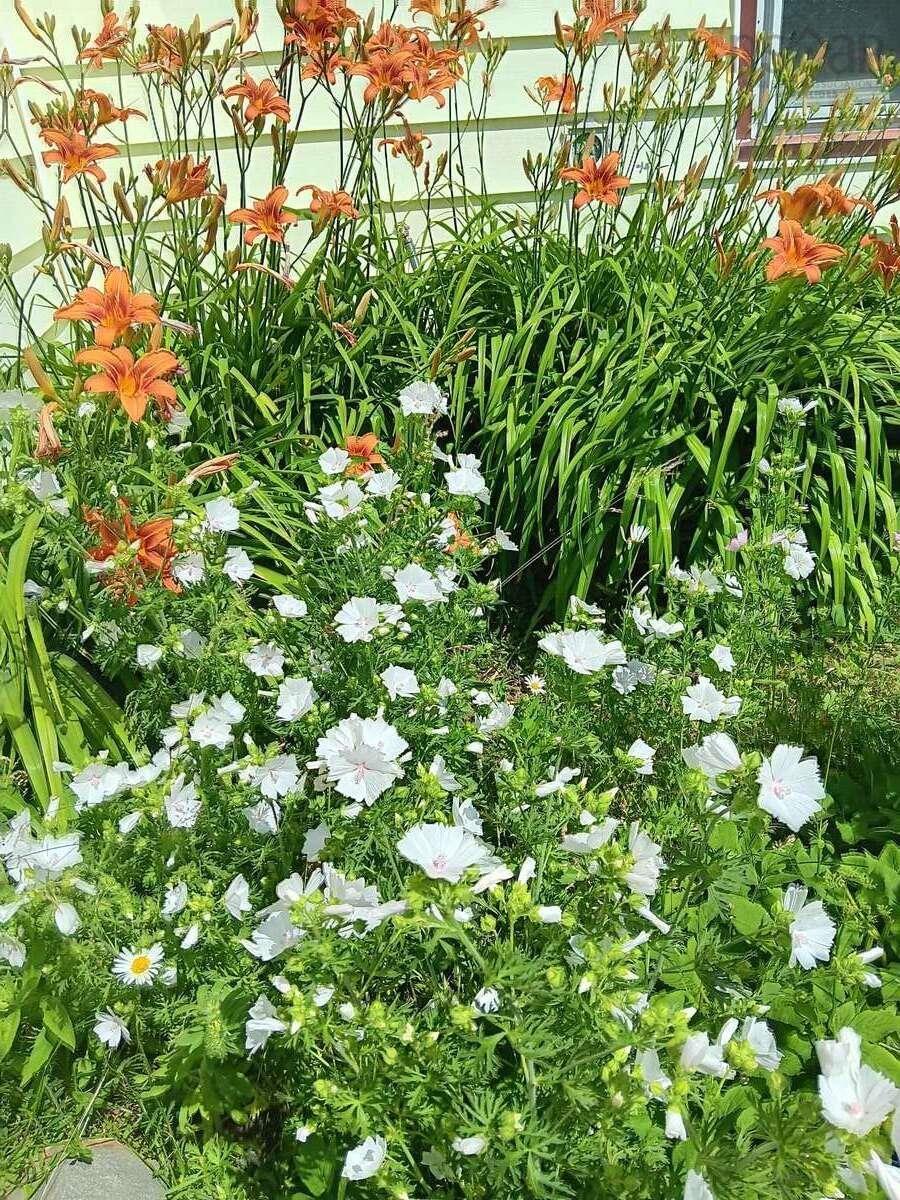 3 Breakwater Lane, Brooklyn, NS (MLS 202525527)