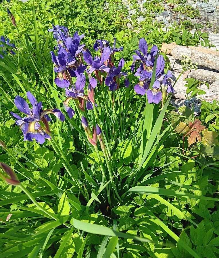 3 Breakwater Lane, Brooklyn, NS (MLS 202525527)