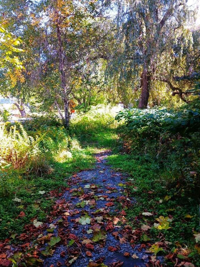 3 Breakwater Lane, Brooklyn, NS (MLS 202525527)