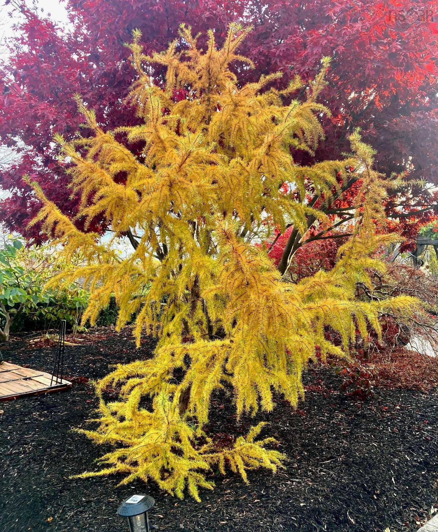 15 Lakeview Avenue, Dartmouth, NS (MLS 202525606)