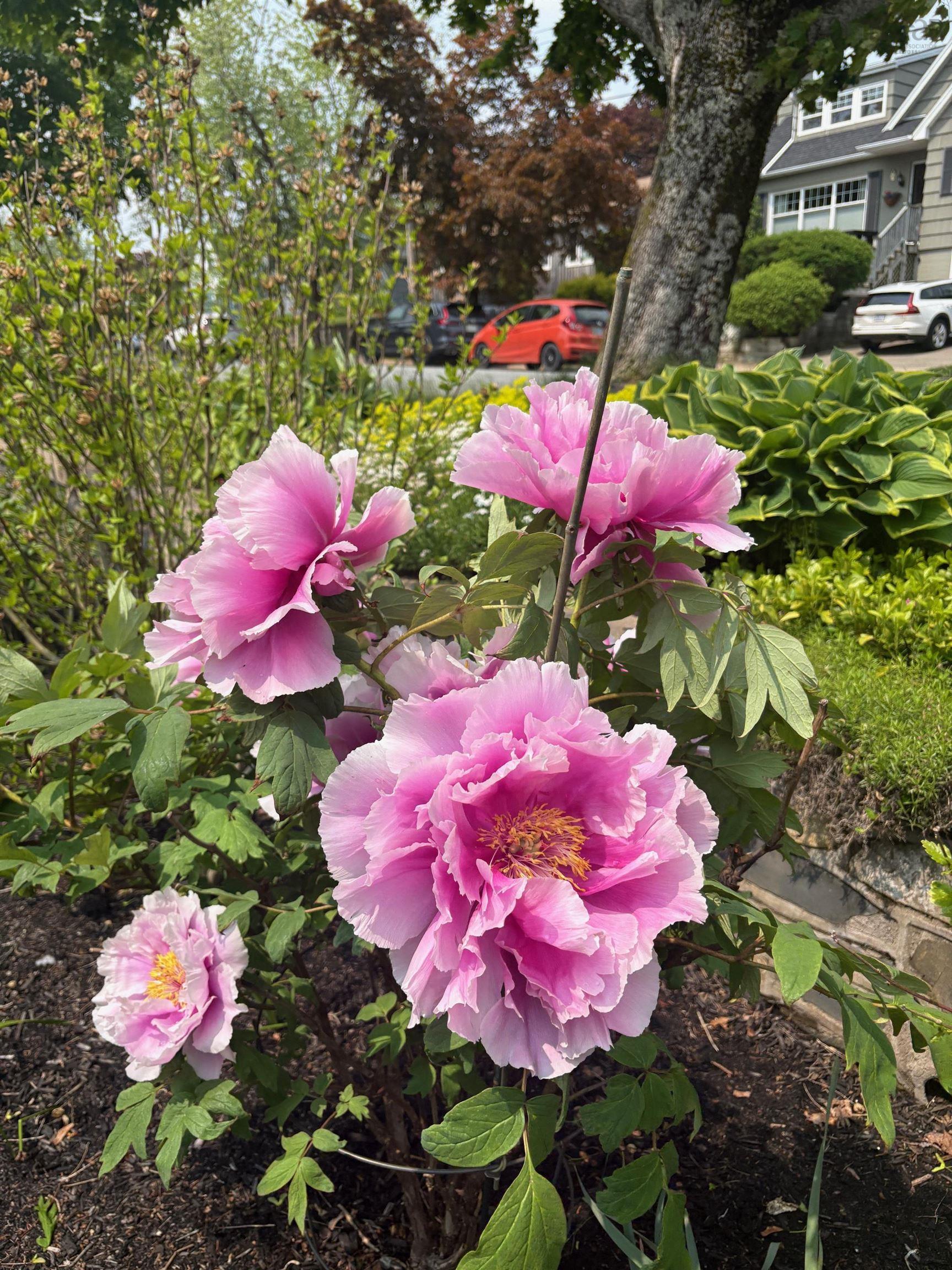 15 Lakeview Avenue, Dartmouth, NS (MLS 202525606)