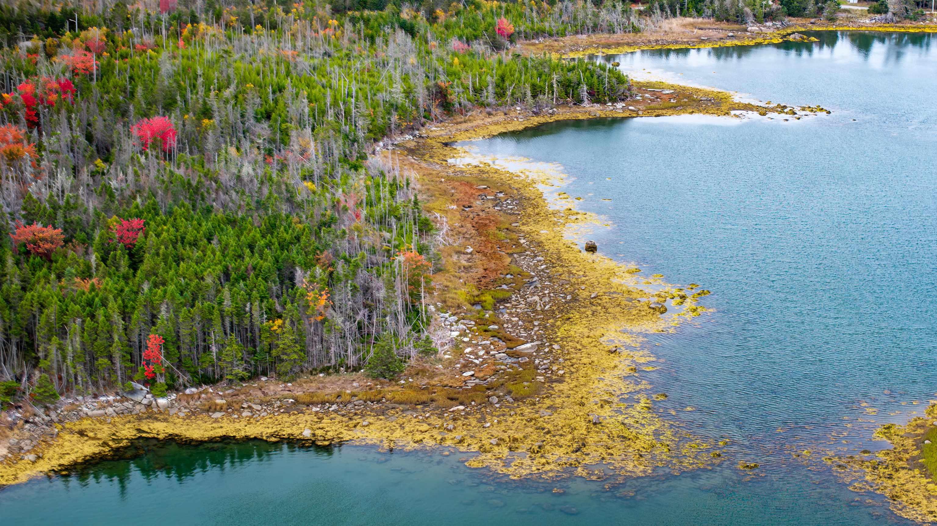 Grant 22407 Sober Island Road, Sober Island, NS (MLS 202525672)