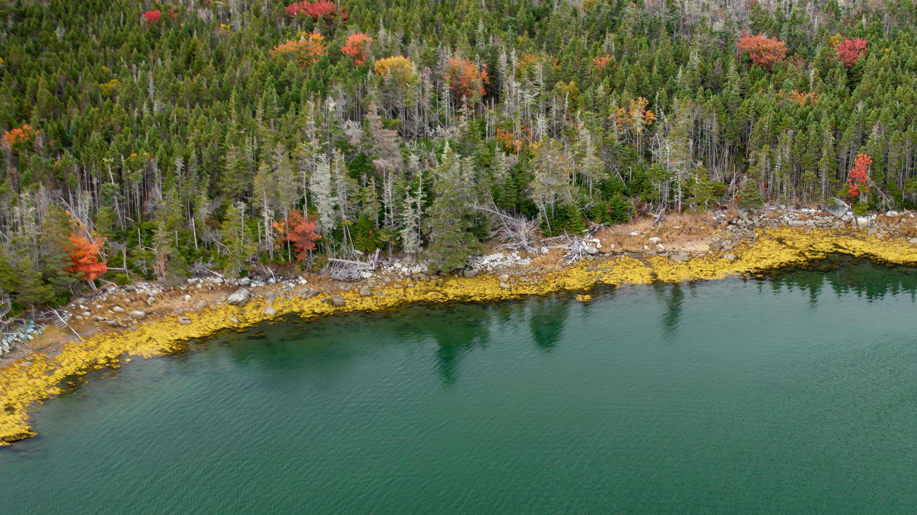 Grant 22407 Sober Island Road, Sober Island, NS (MLS 202525672)