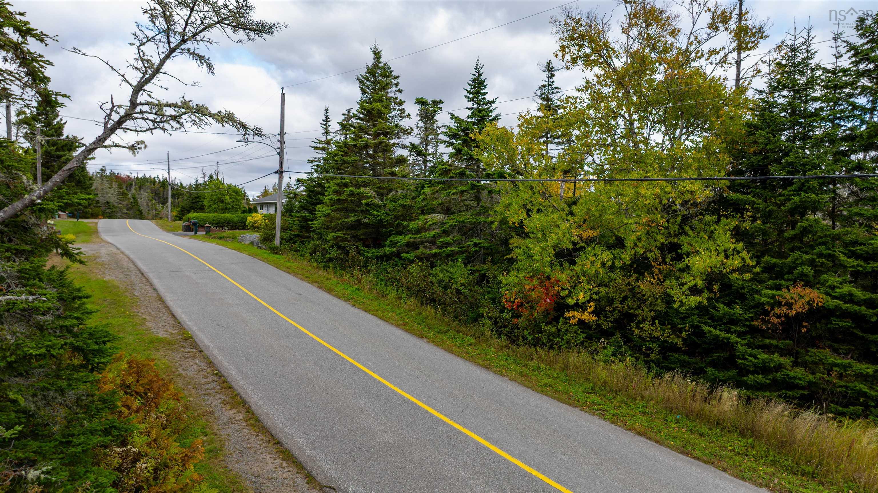 Grant 22407 Sober Island Road, Sober Island, NS (MLS 202525672)