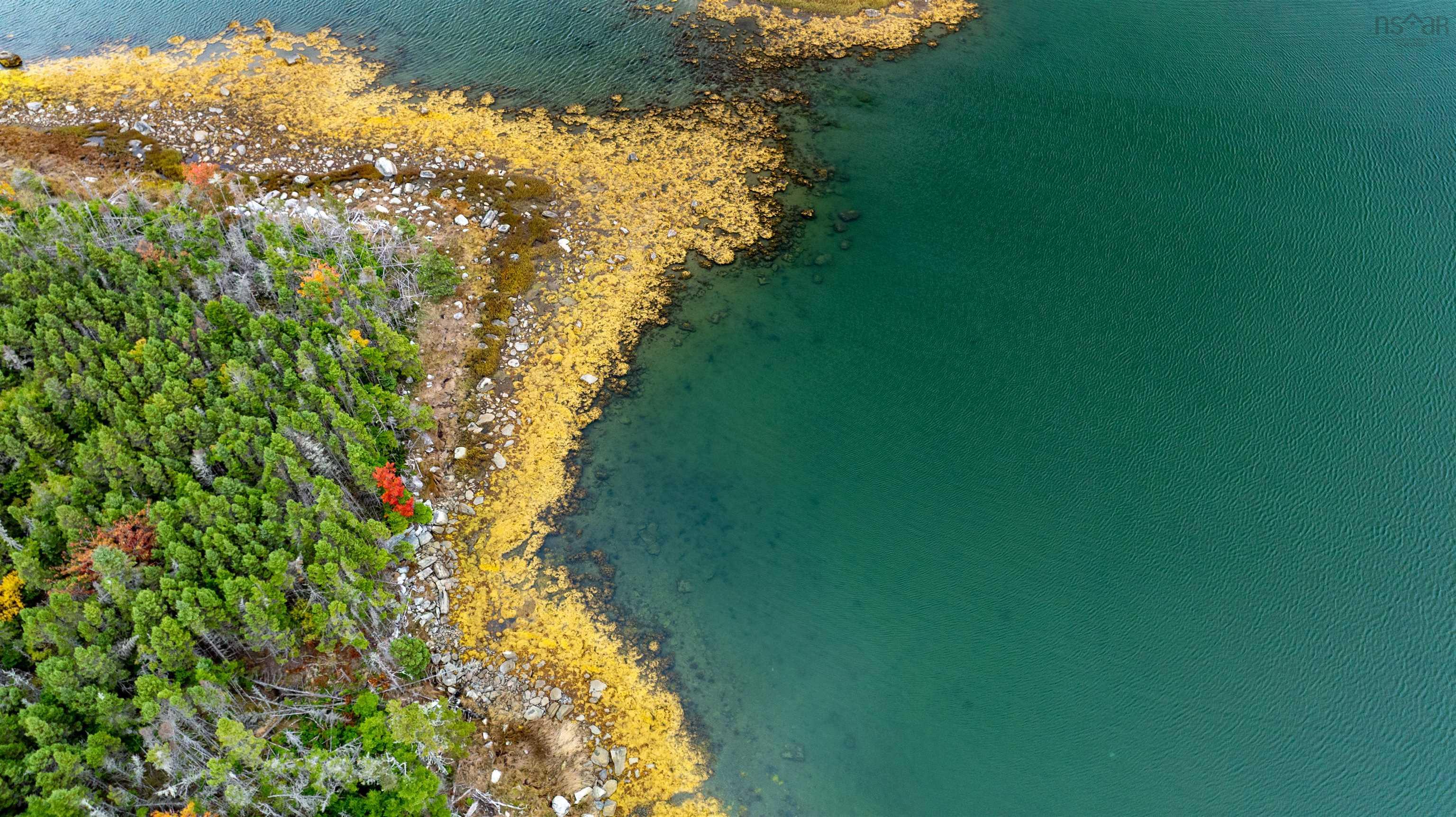 Grant 22407 Sober Island Road, Sober Island, NS (MLS 202525672)