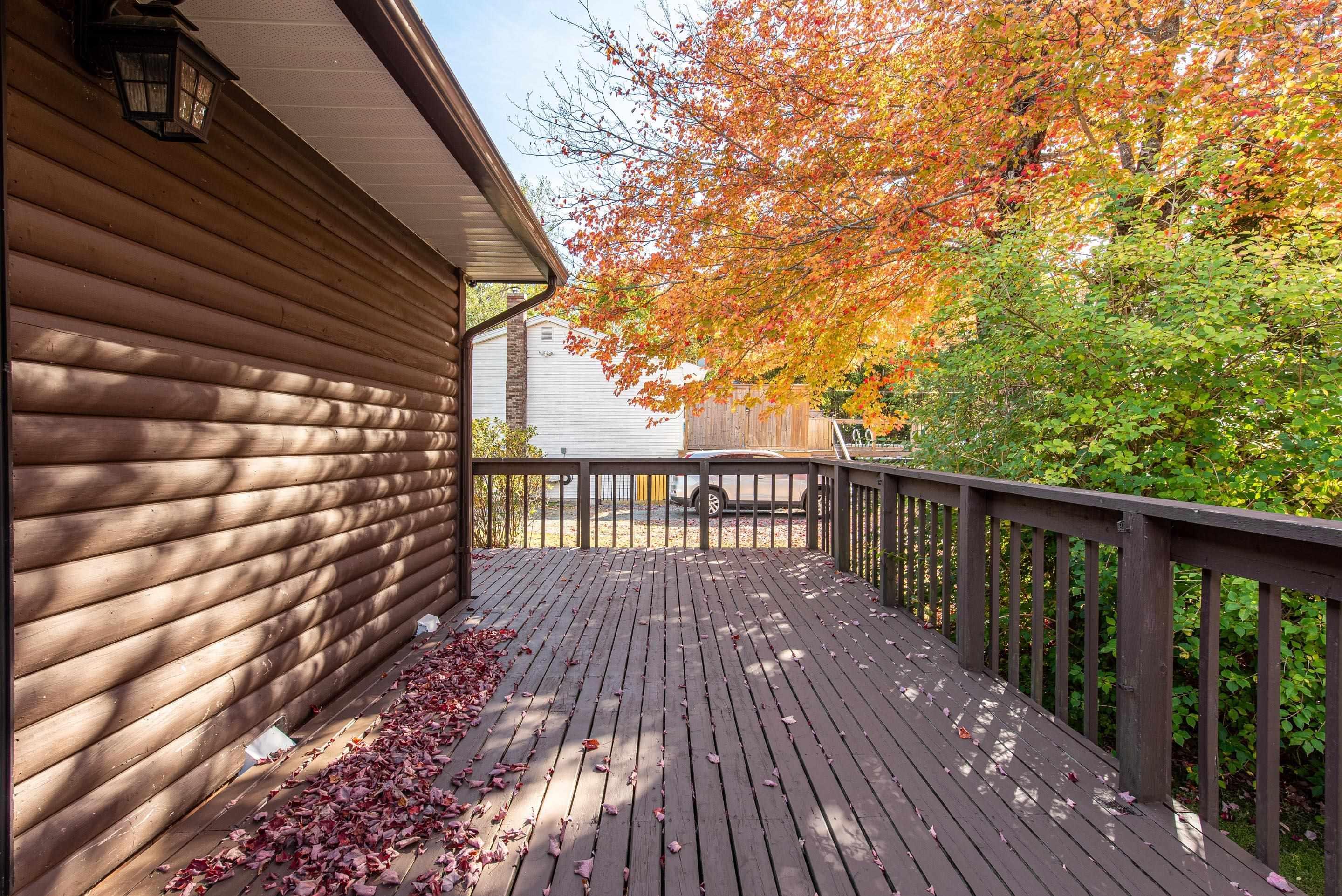 786 Myra Road, Porters Lake, NS (MLS 202525948)